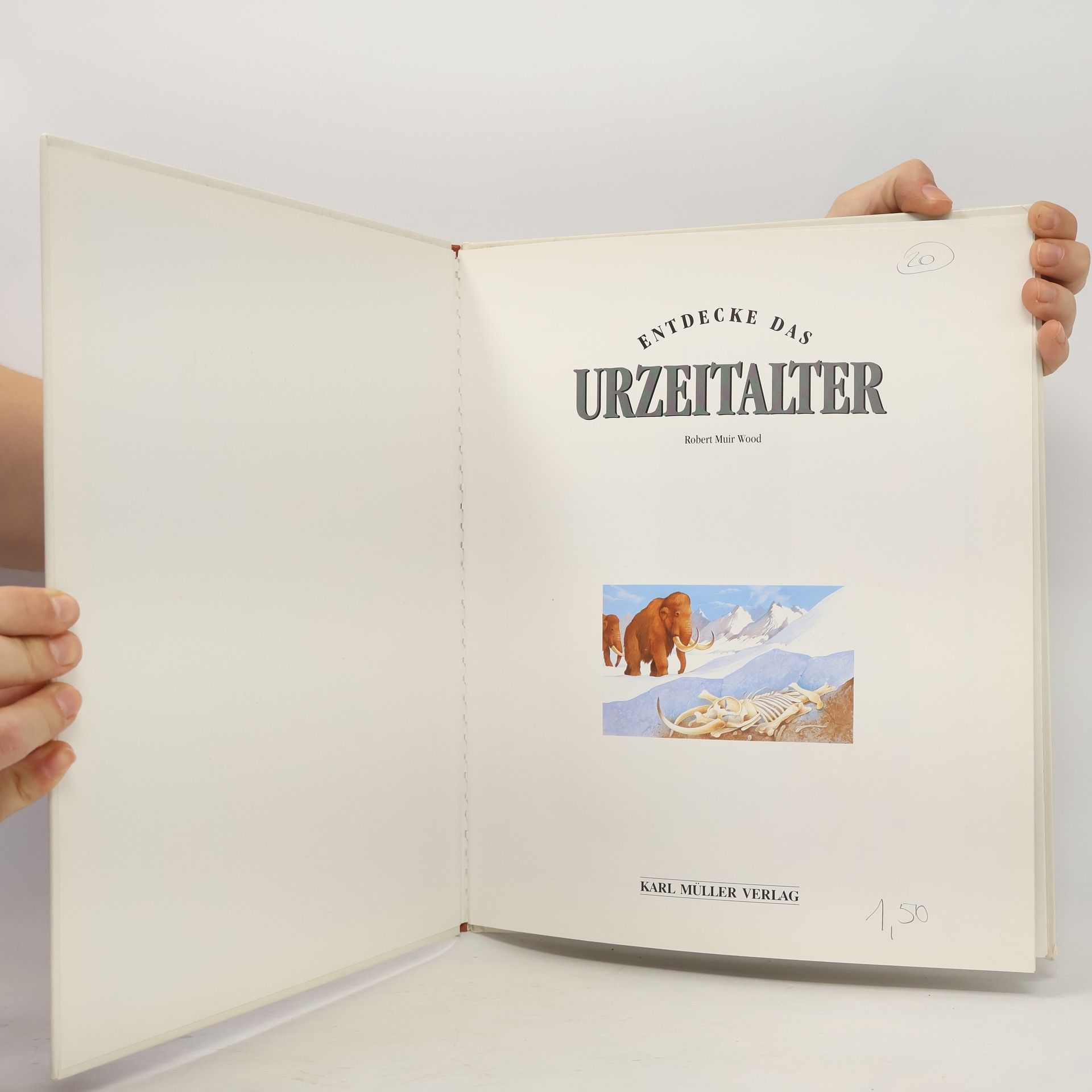Robert Muir Wood Entdecke das Urzeitalter
