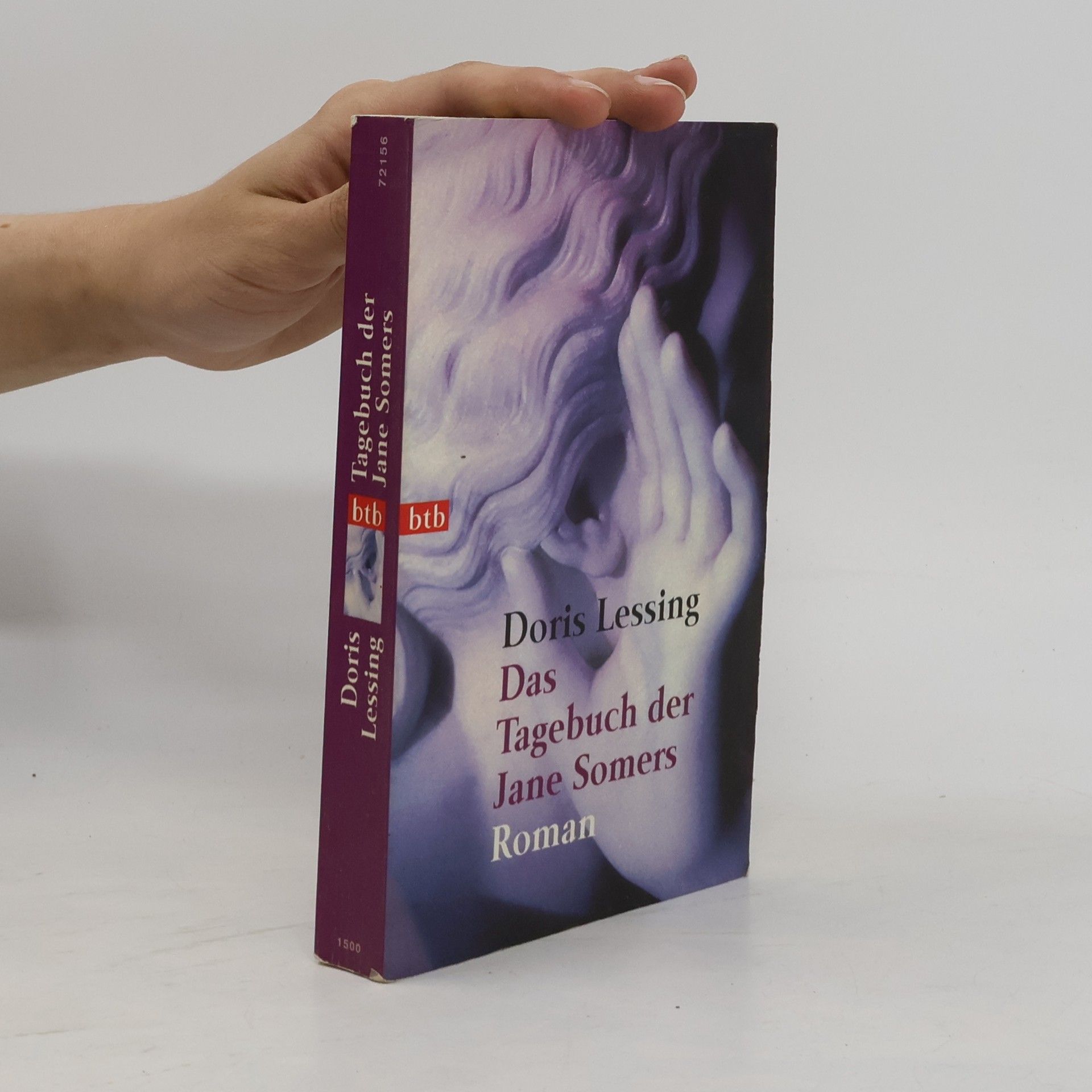 Doris Lessing Das Tagebuch der Jane Somers