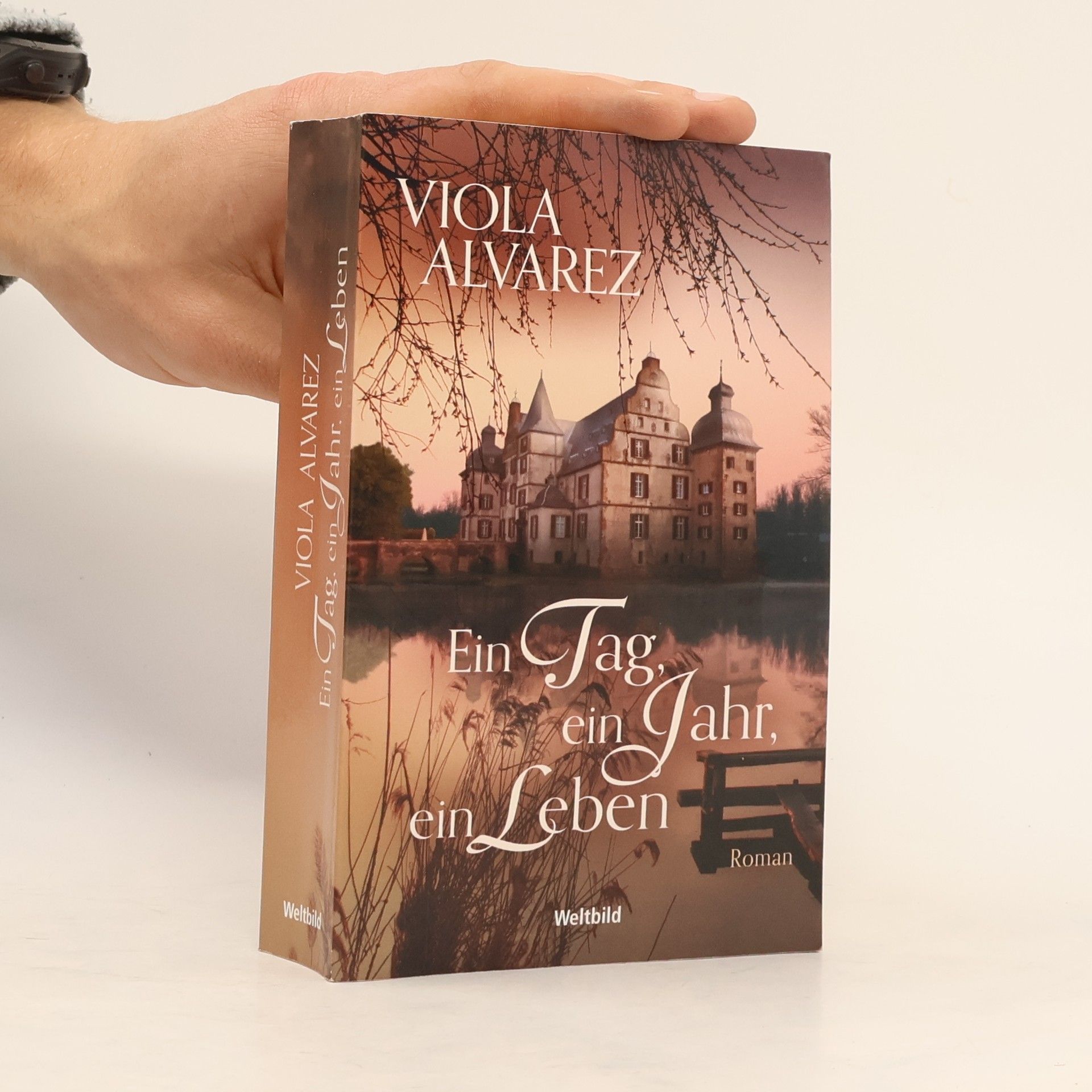 Viola Alvarez Ein Tag, ein Jahr, ein Leben