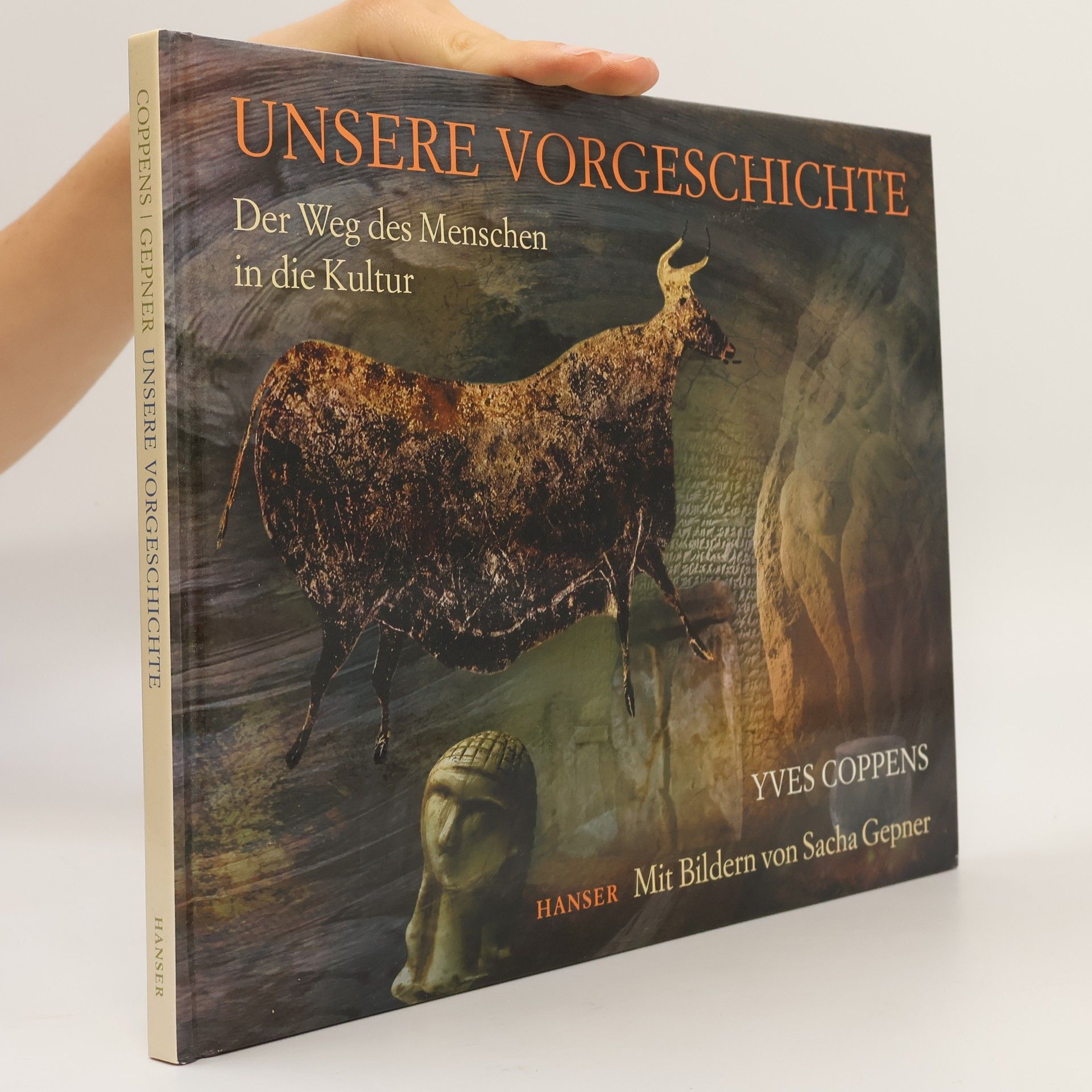 Sacha Gepner Unsere Vorgeschichte