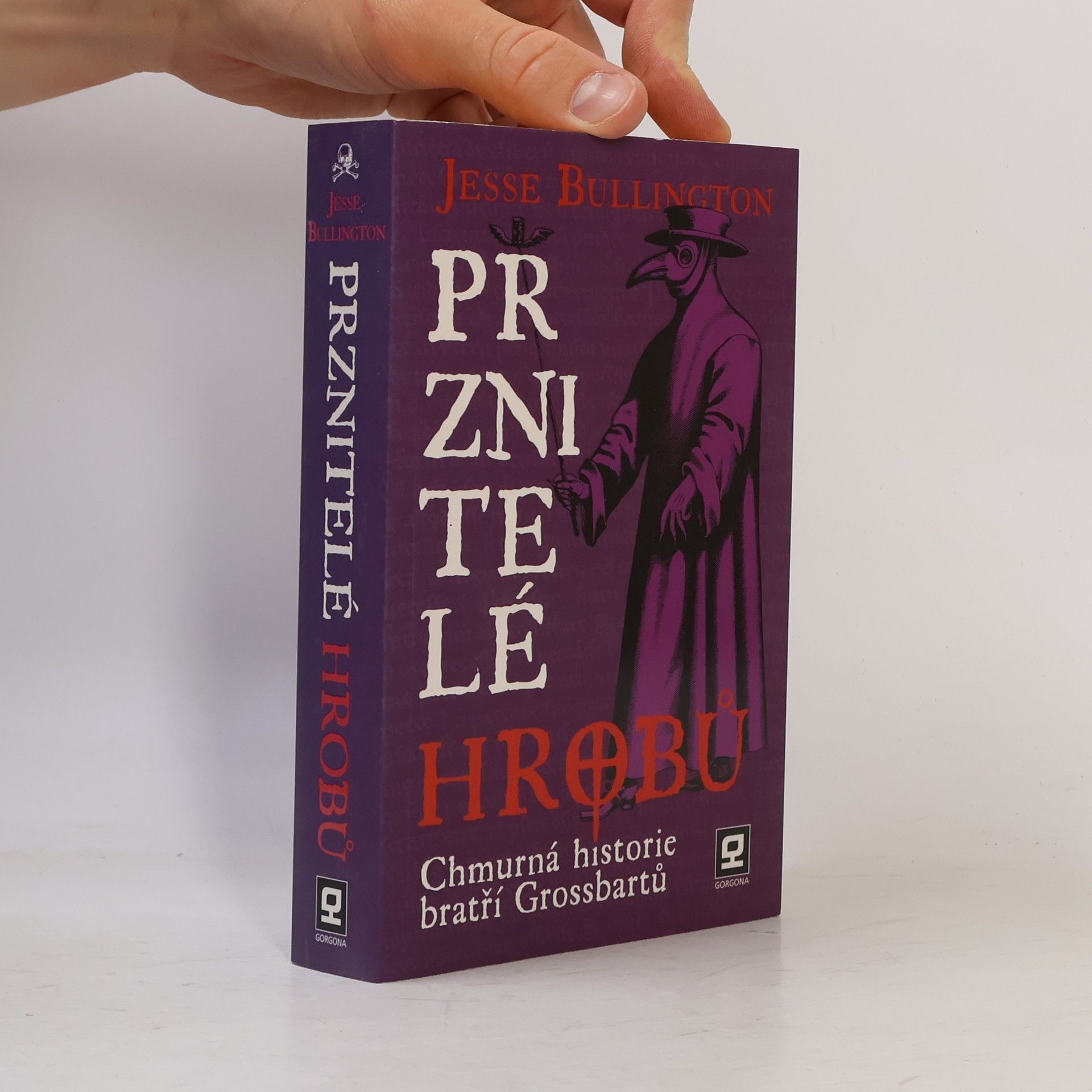 Jesse Bullington Prznitelé hrobů : chmurná historie bratří Grossbartů