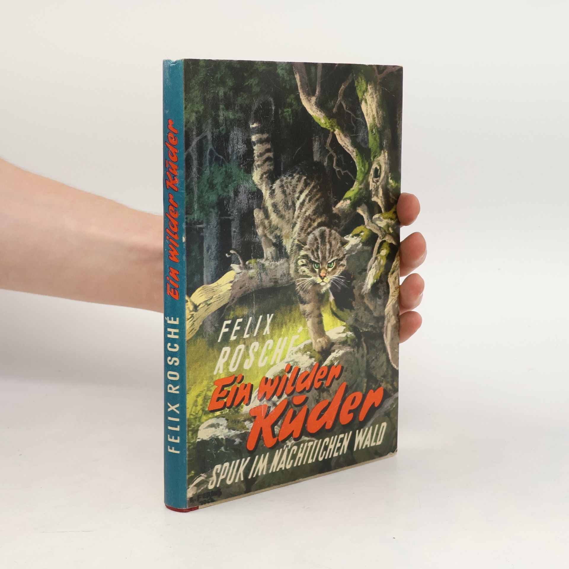 Felix Rosché Ein Wilder Kuder. Spuk Im Nächtlichen Wald