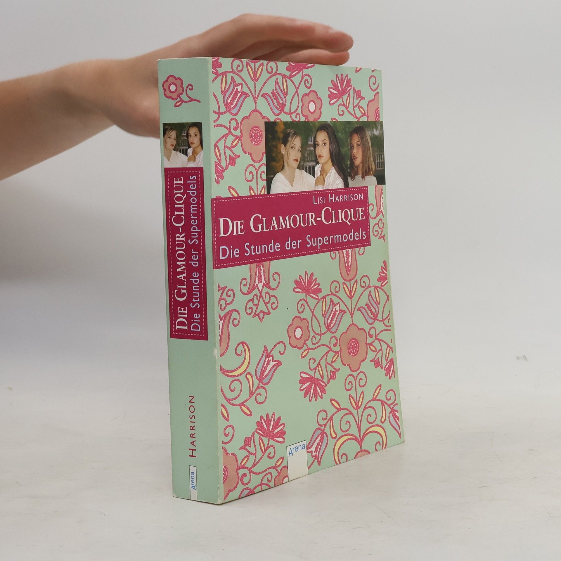 Lisi Harrison Die Glamour-Clique