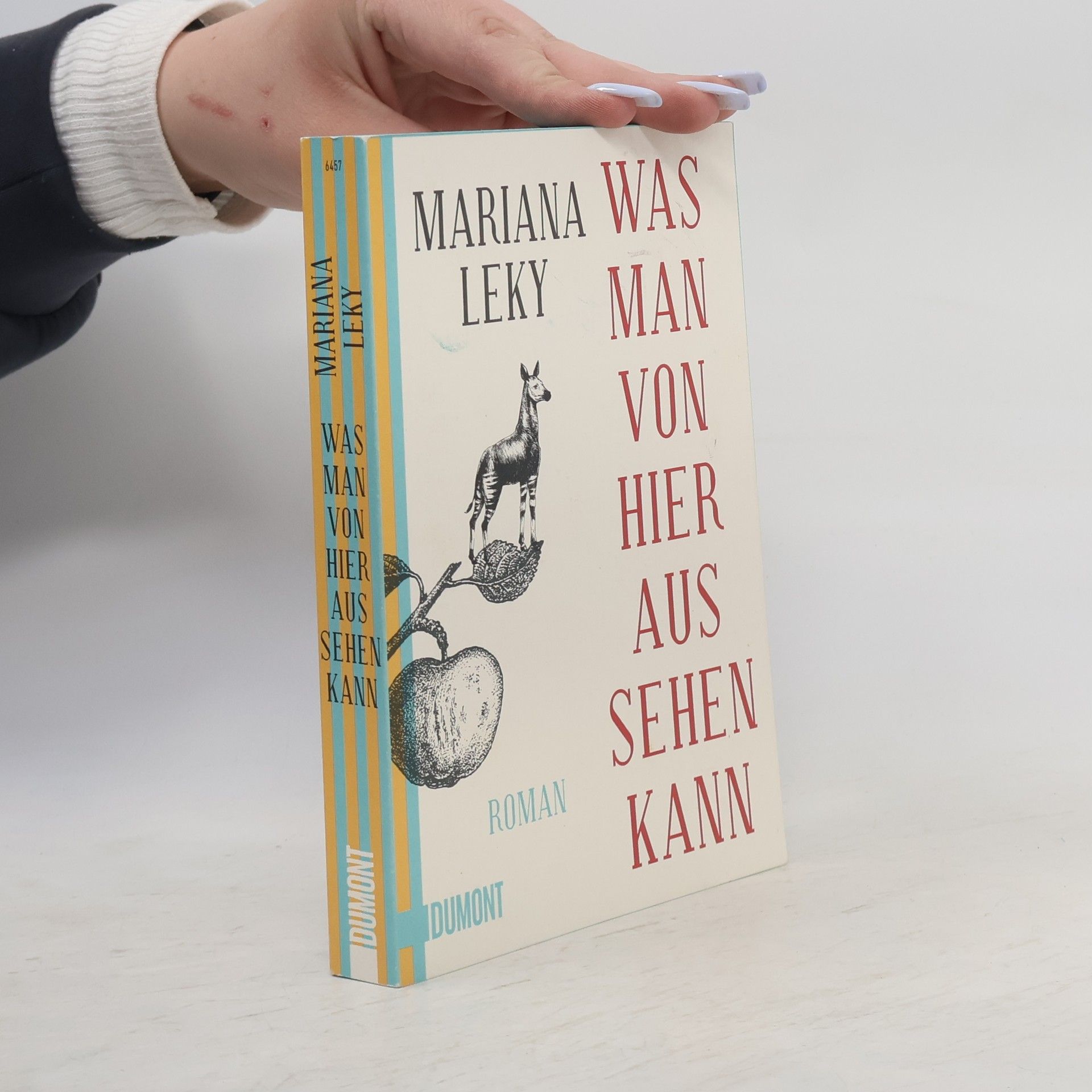 Mariana Leky Was man von hier aus sehen kann