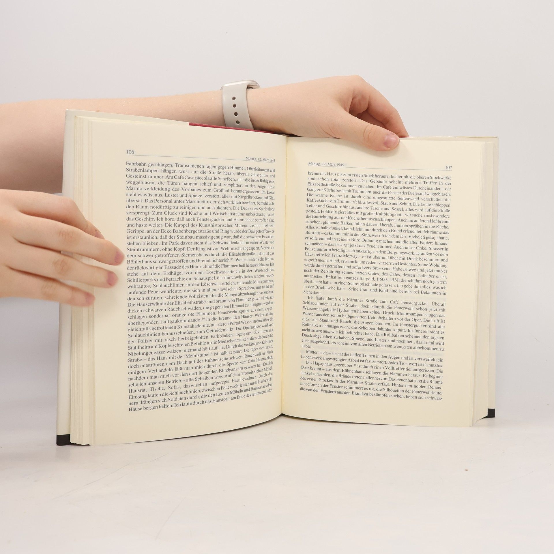 Josef Schöner Wiener Tagebuch