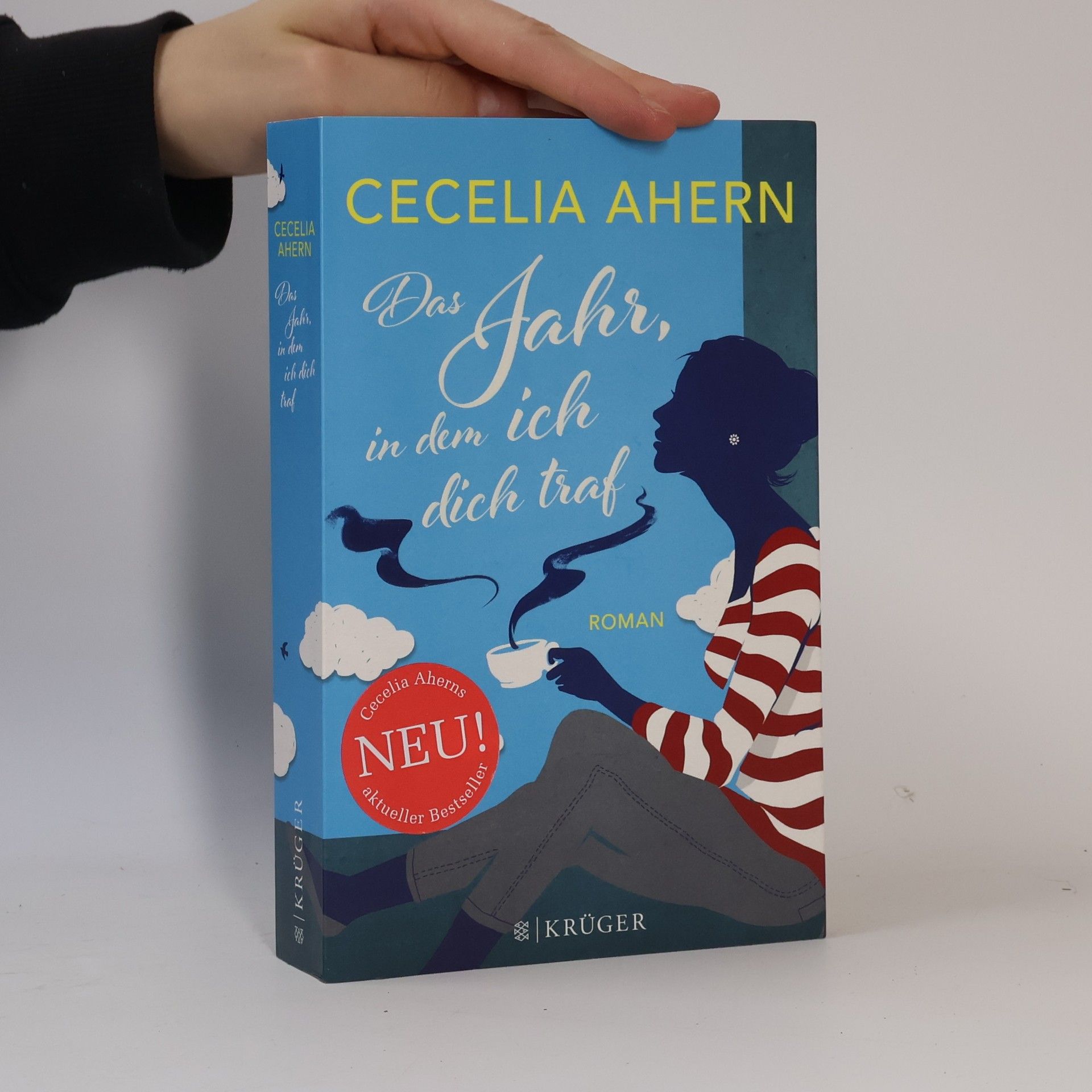 Cecelia Ahern Das Jahr, in dem ich dich traf