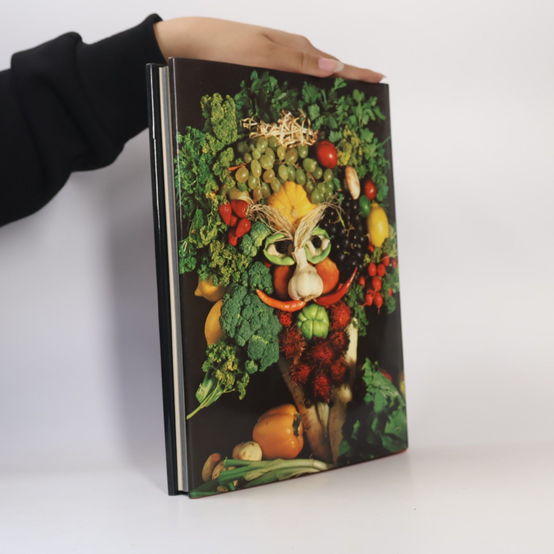 Michael Schuyt DuMont's phantasievoller Ratgeber für vergnügte Köche