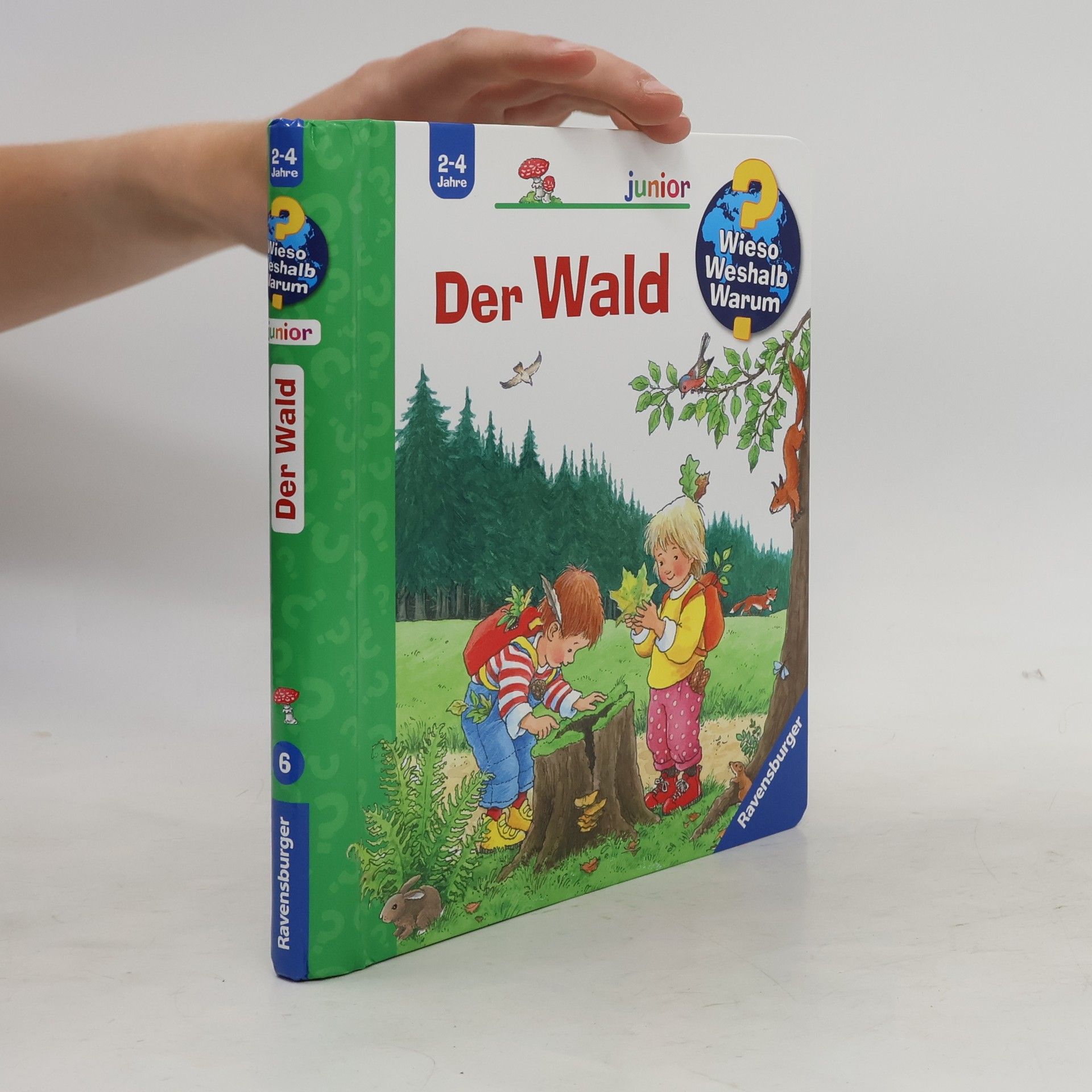 Angela Weinhold Der Wald