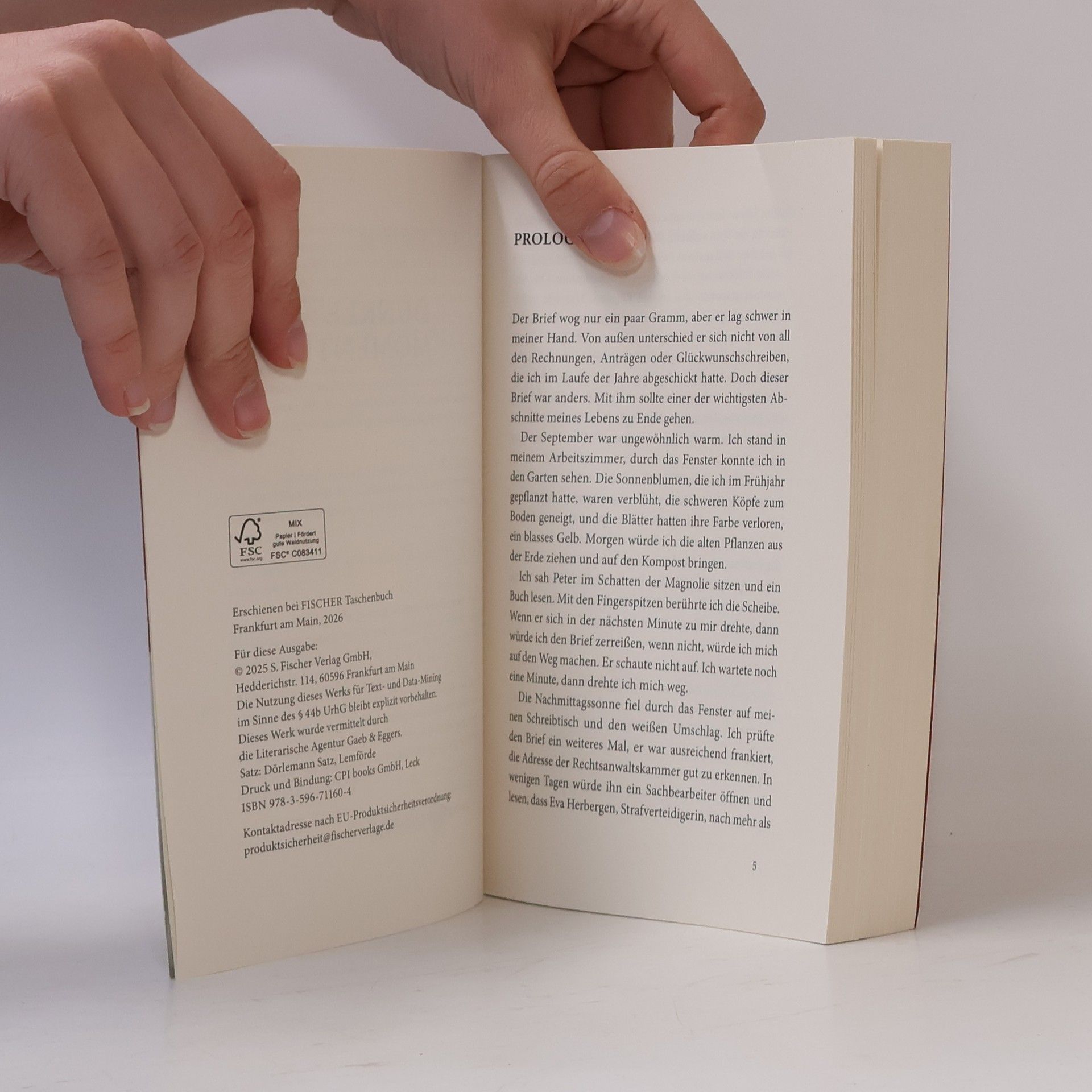 Elisa Hoven Dunkle Momente: Roman
