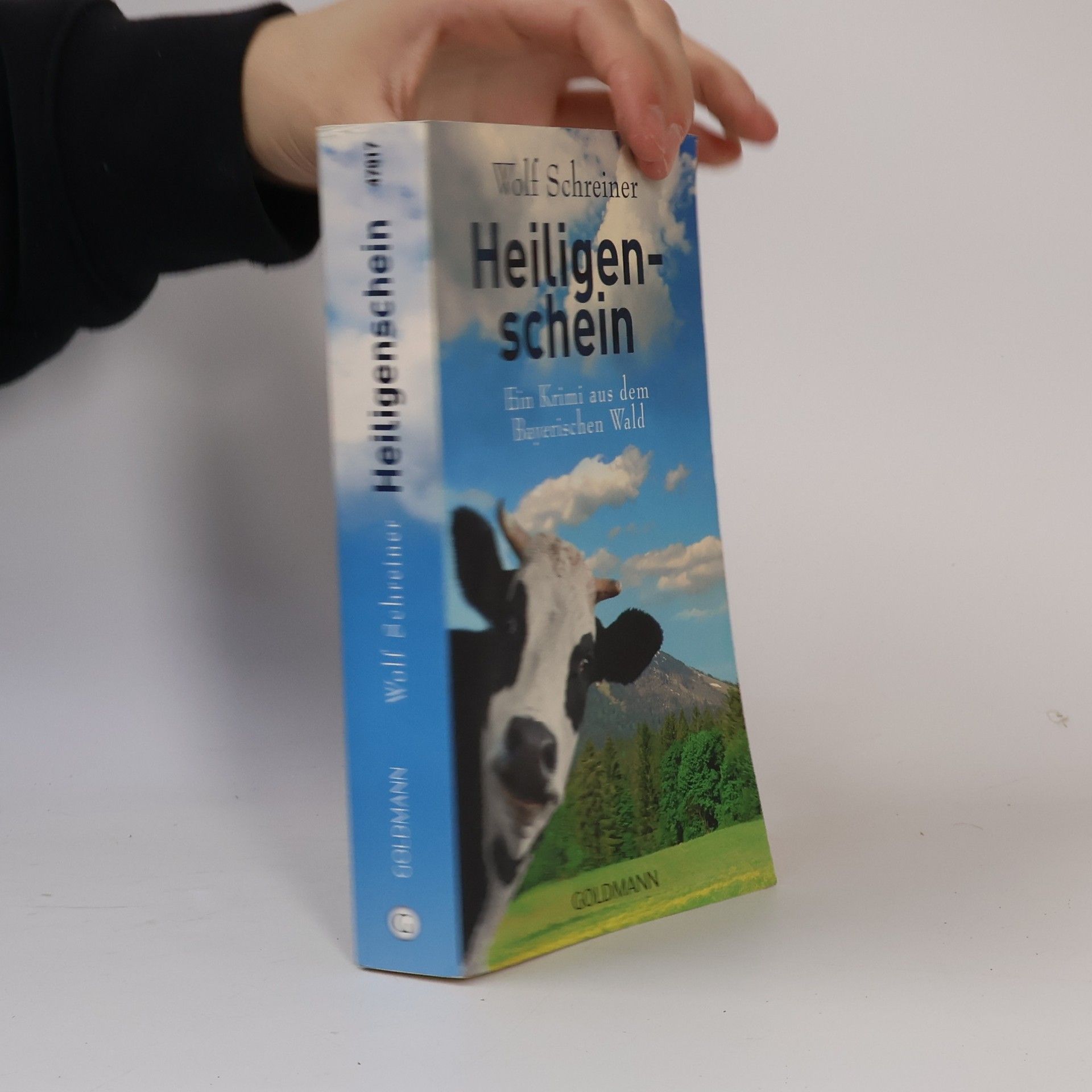Wolf Schreiner Heiligenschein