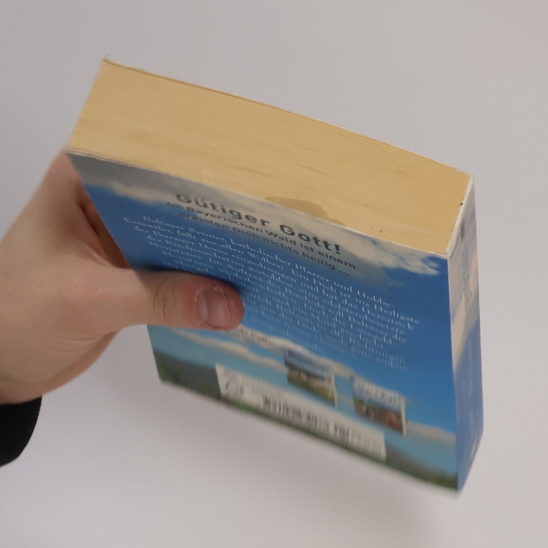 Wolf Schreiner Heiligenschein