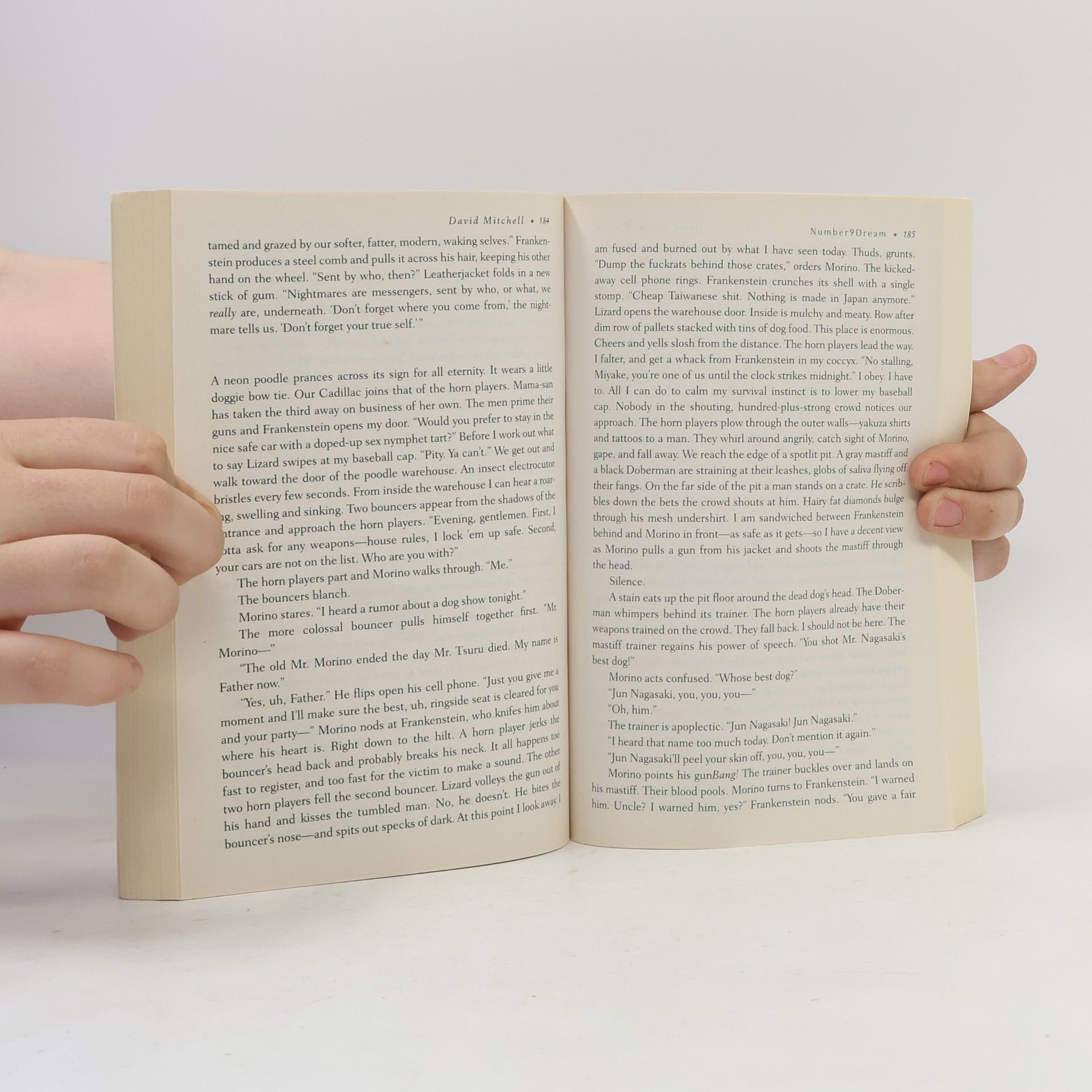 David Mitchell Number9dream