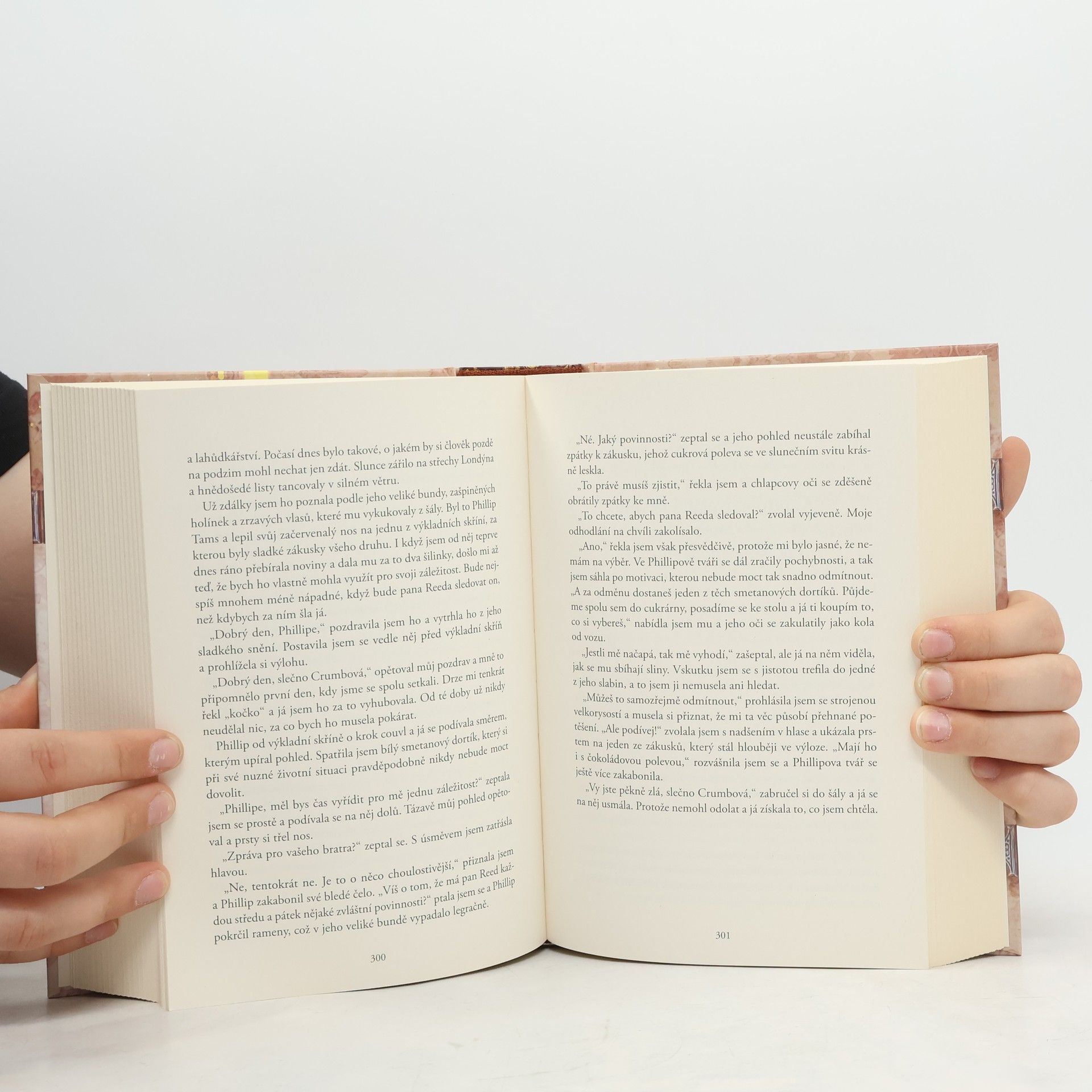 Lin Rina Kroniky prachu