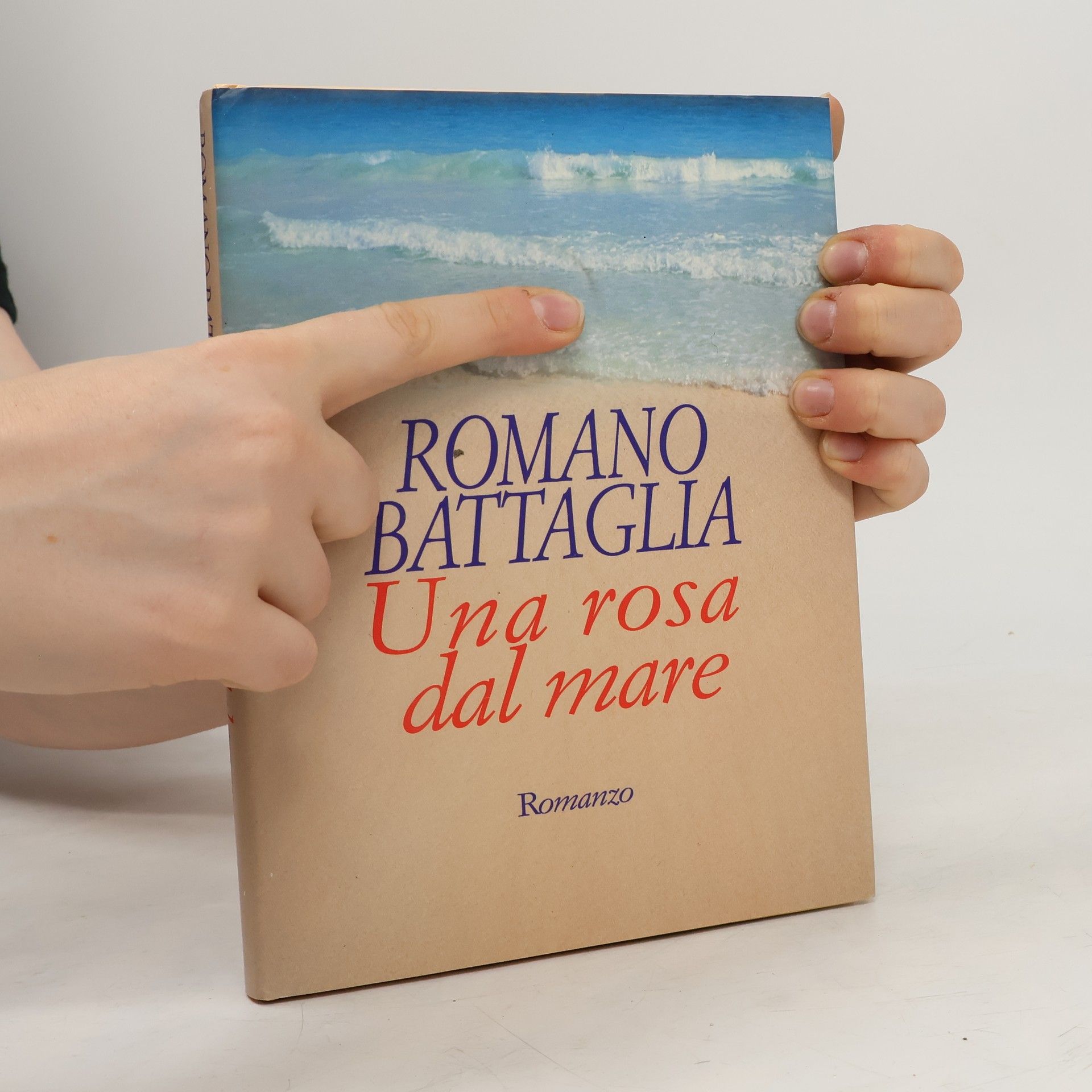 Romano Battaglia Una rosa dal mare