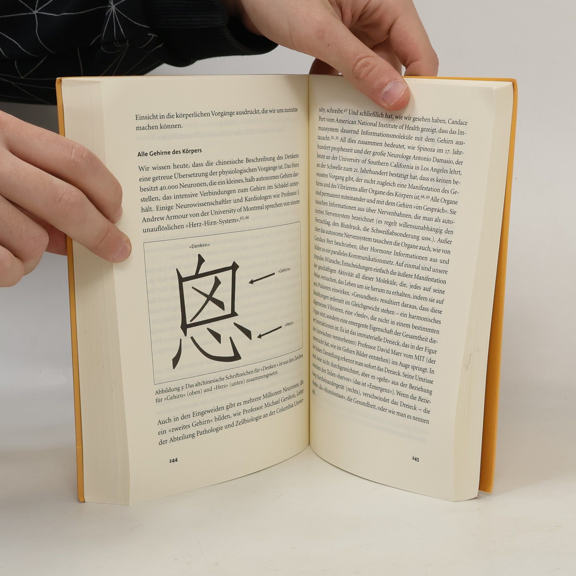 David Servan Schreiber Das Antikrebs-Buch