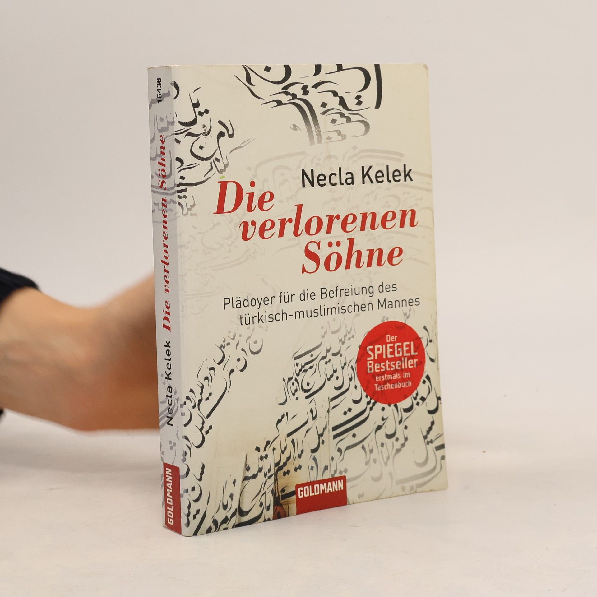 Die verlorenen Söhne