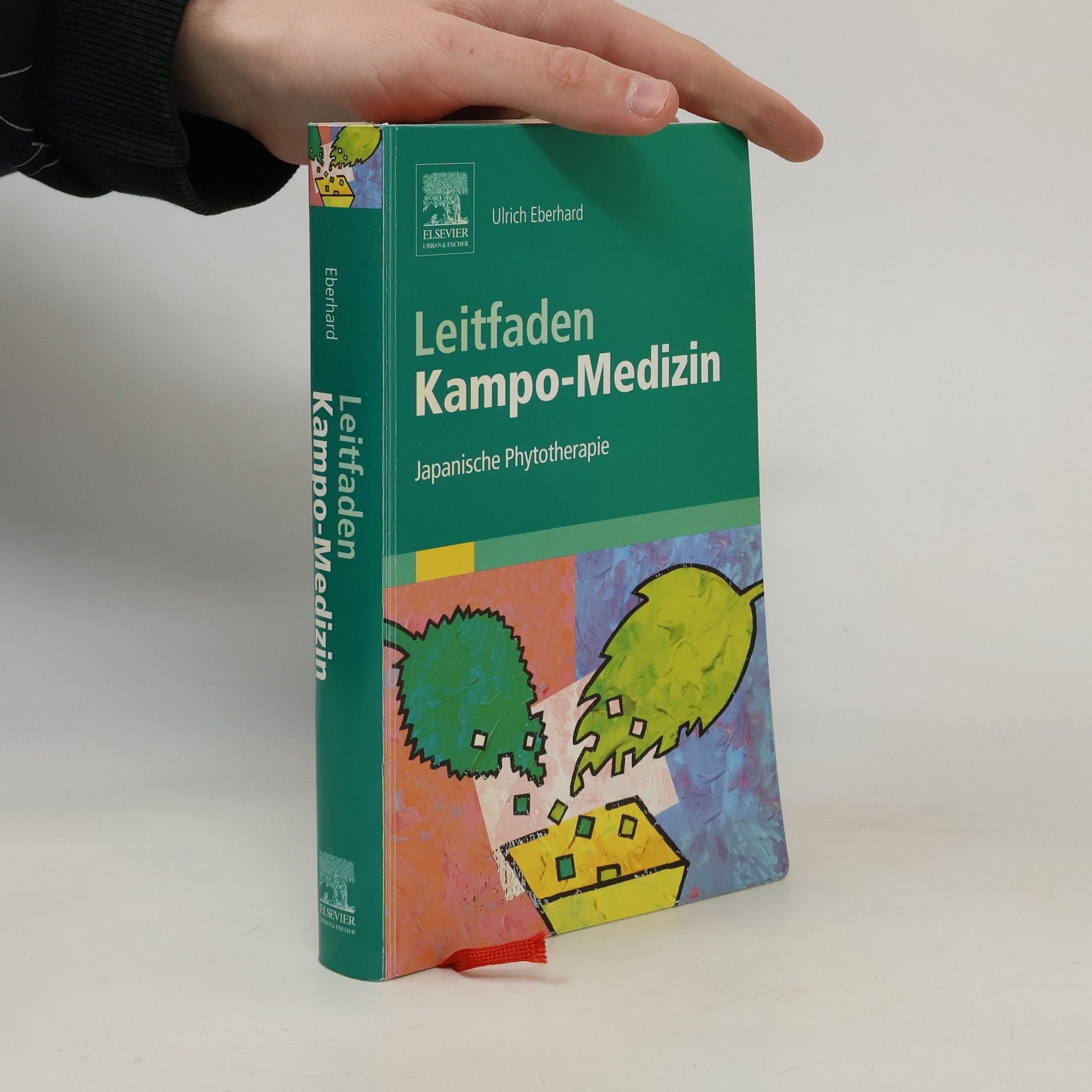 Ulrich Eberhard Leitfaden Kampo-Medizin