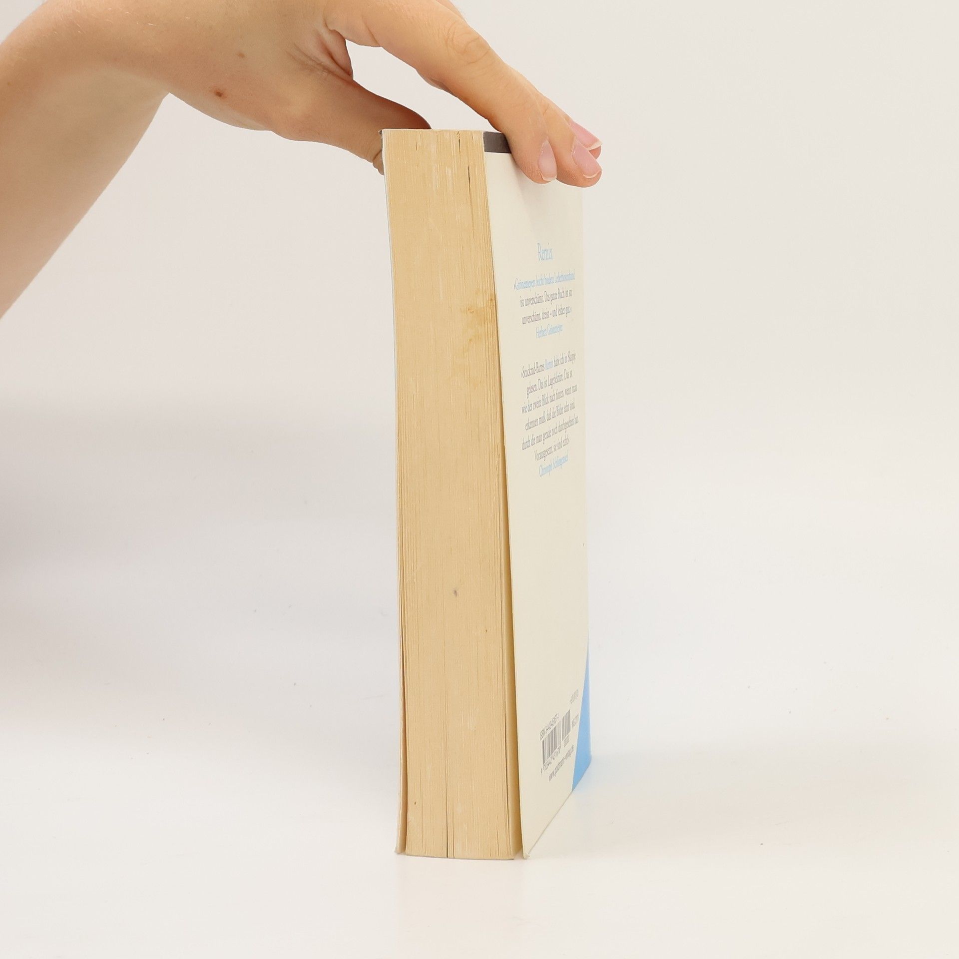 Benjamin v. Stuckrad-Barre Remix. Texte 1996-1999