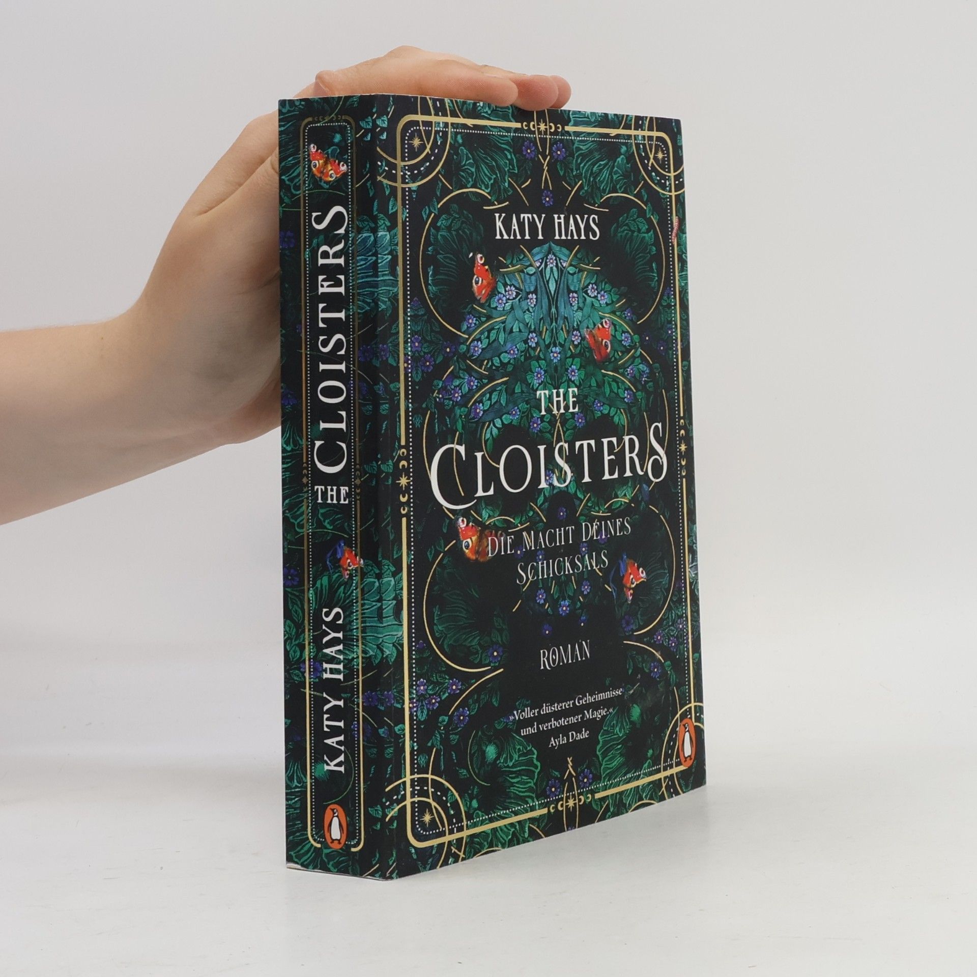 Katy Hays The Cloisters