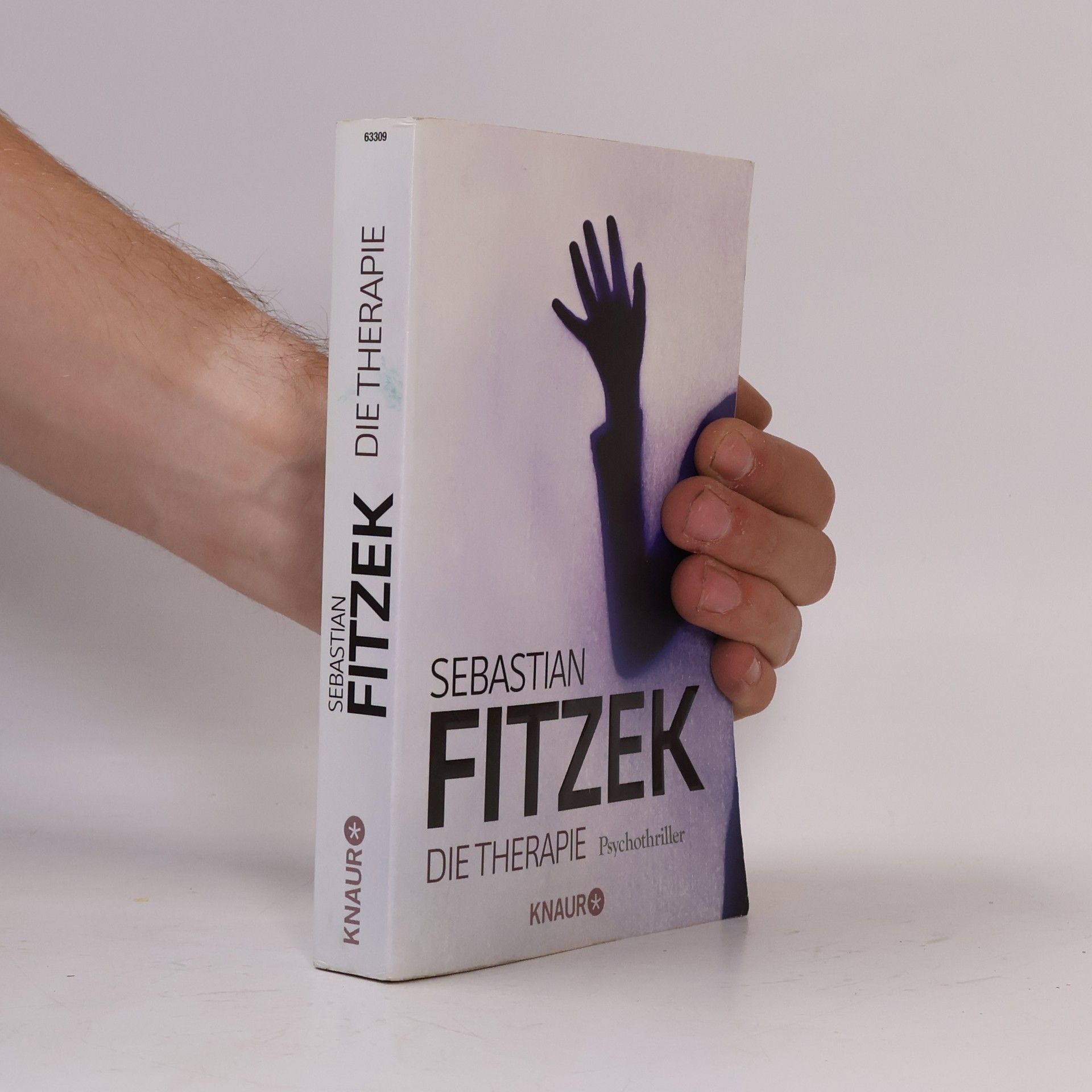 Sebastian Fitzek Die Therapie