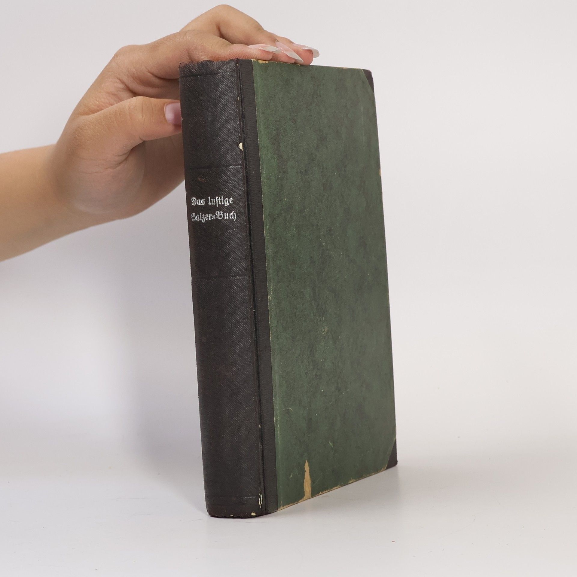 Das lustige Salzer-Buch II. Band