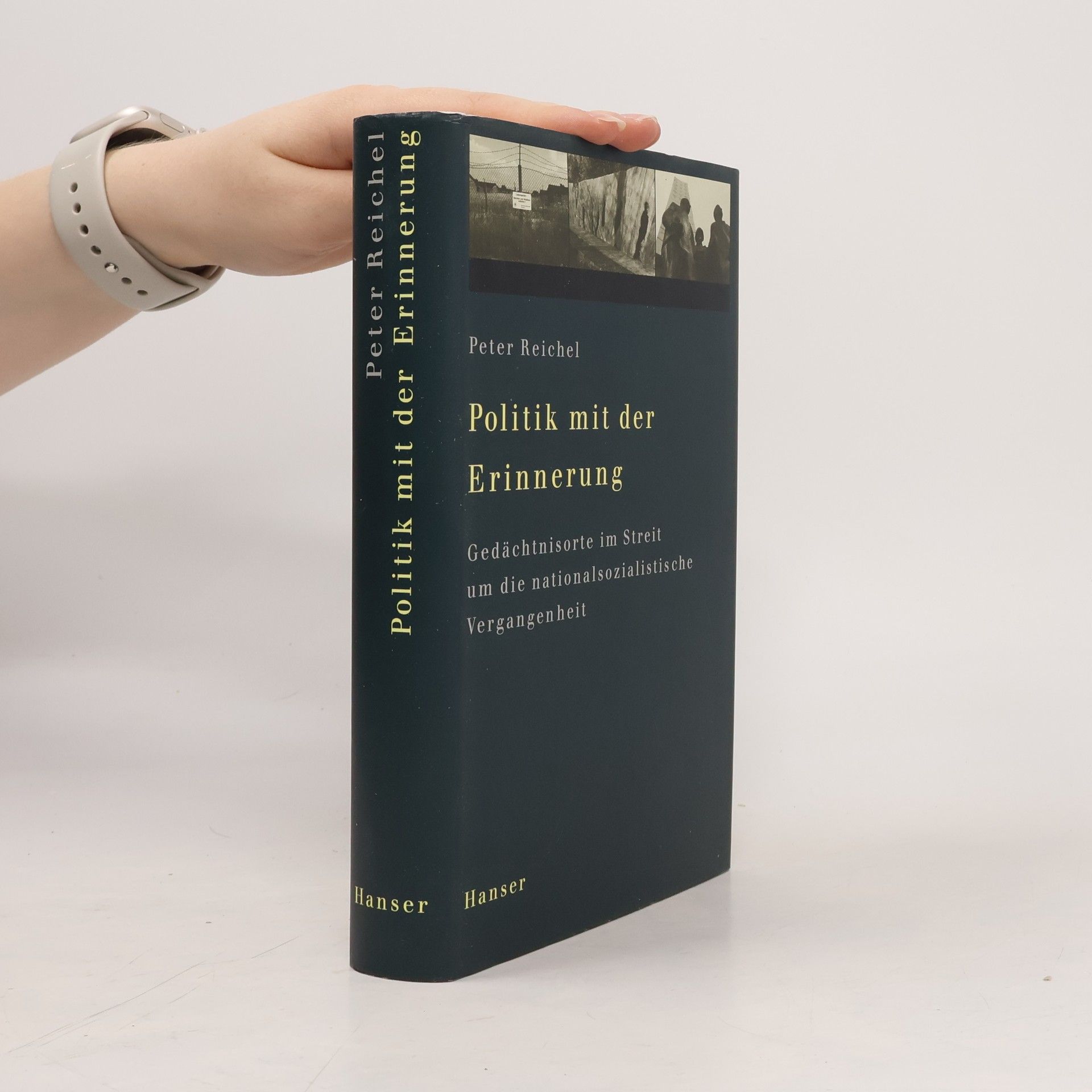 Peter Reichel Politik mit der Erinnerung