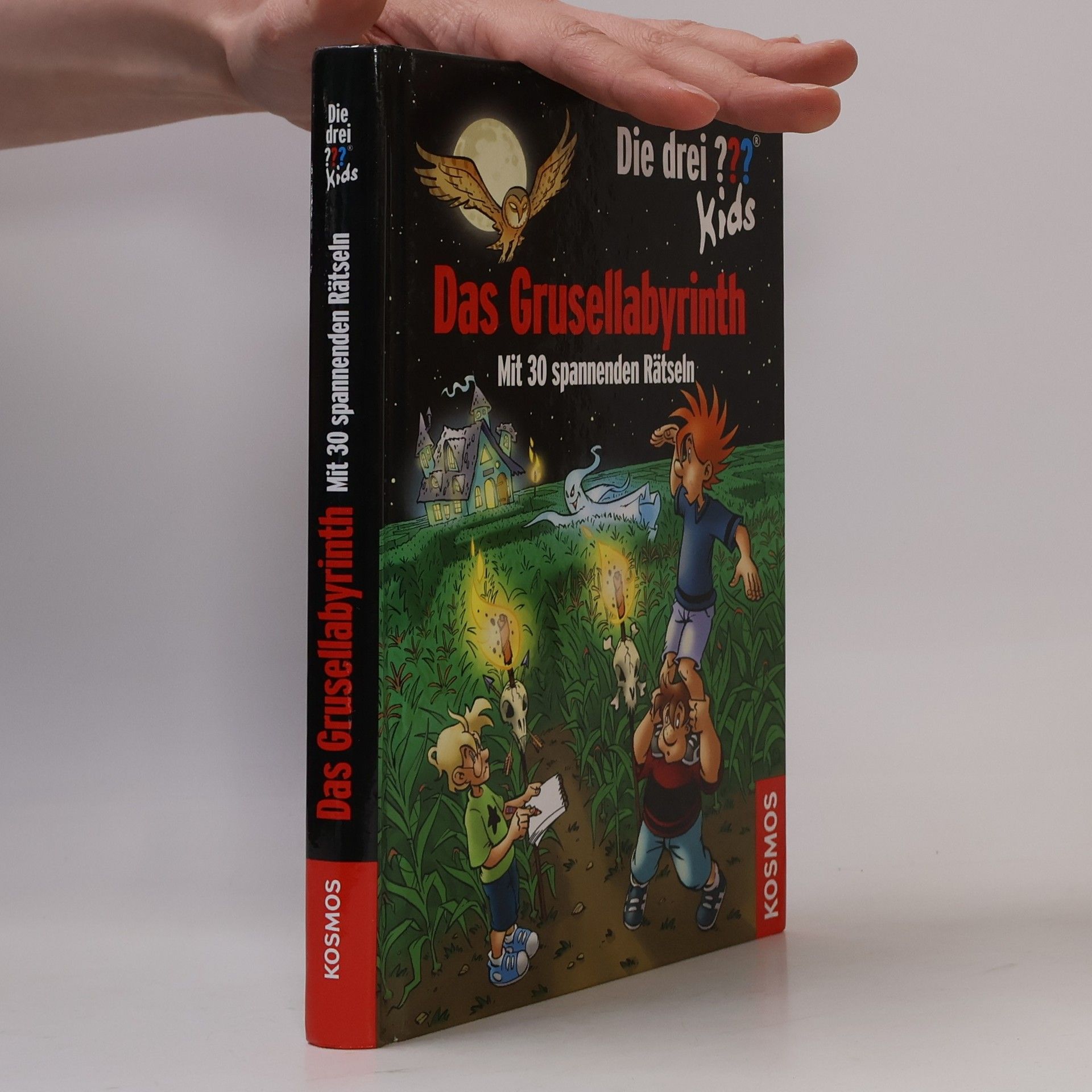 Ulf Blanck Das Grusellabyrinth