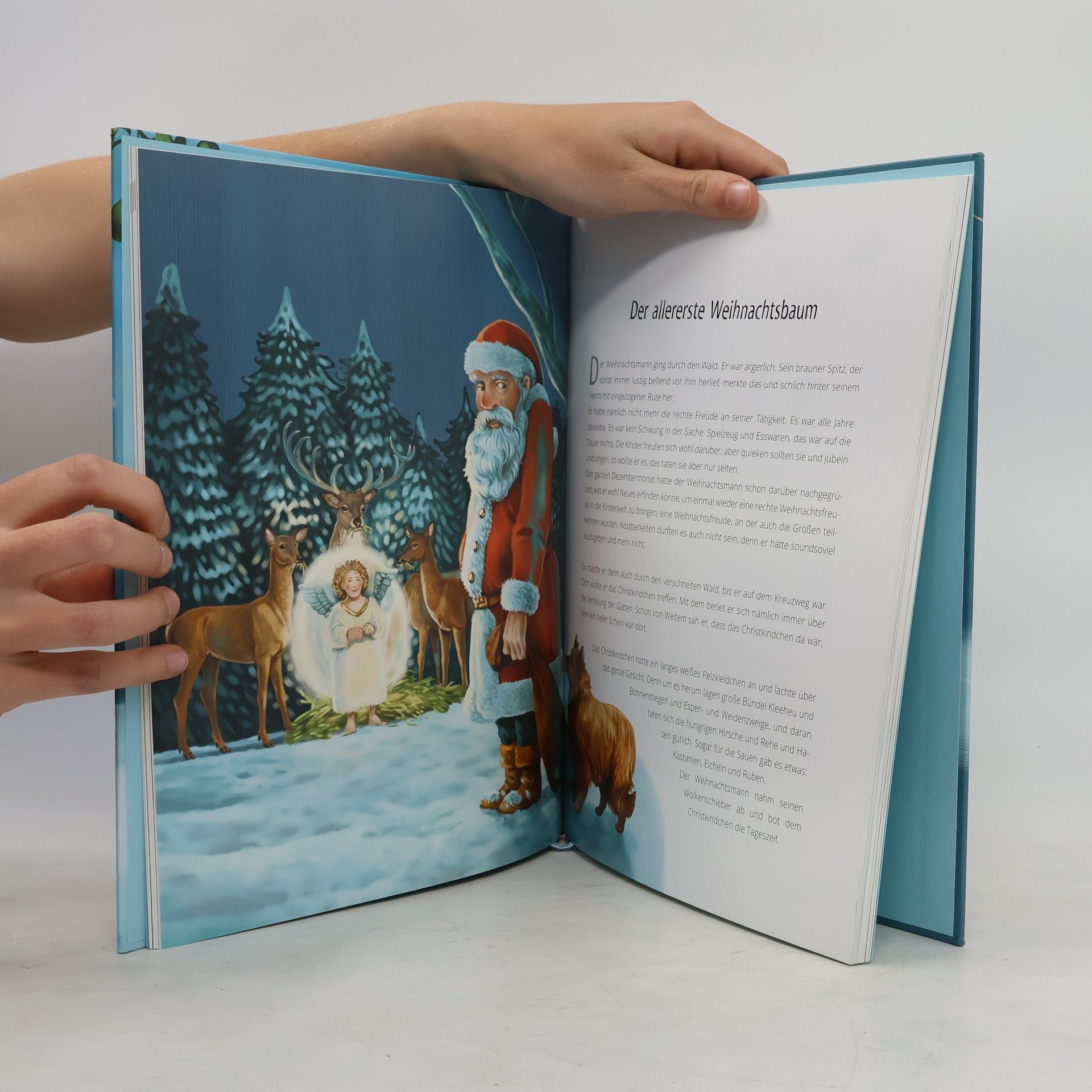 bratři Grimmové Die schönsten Weihnachtsmärchen