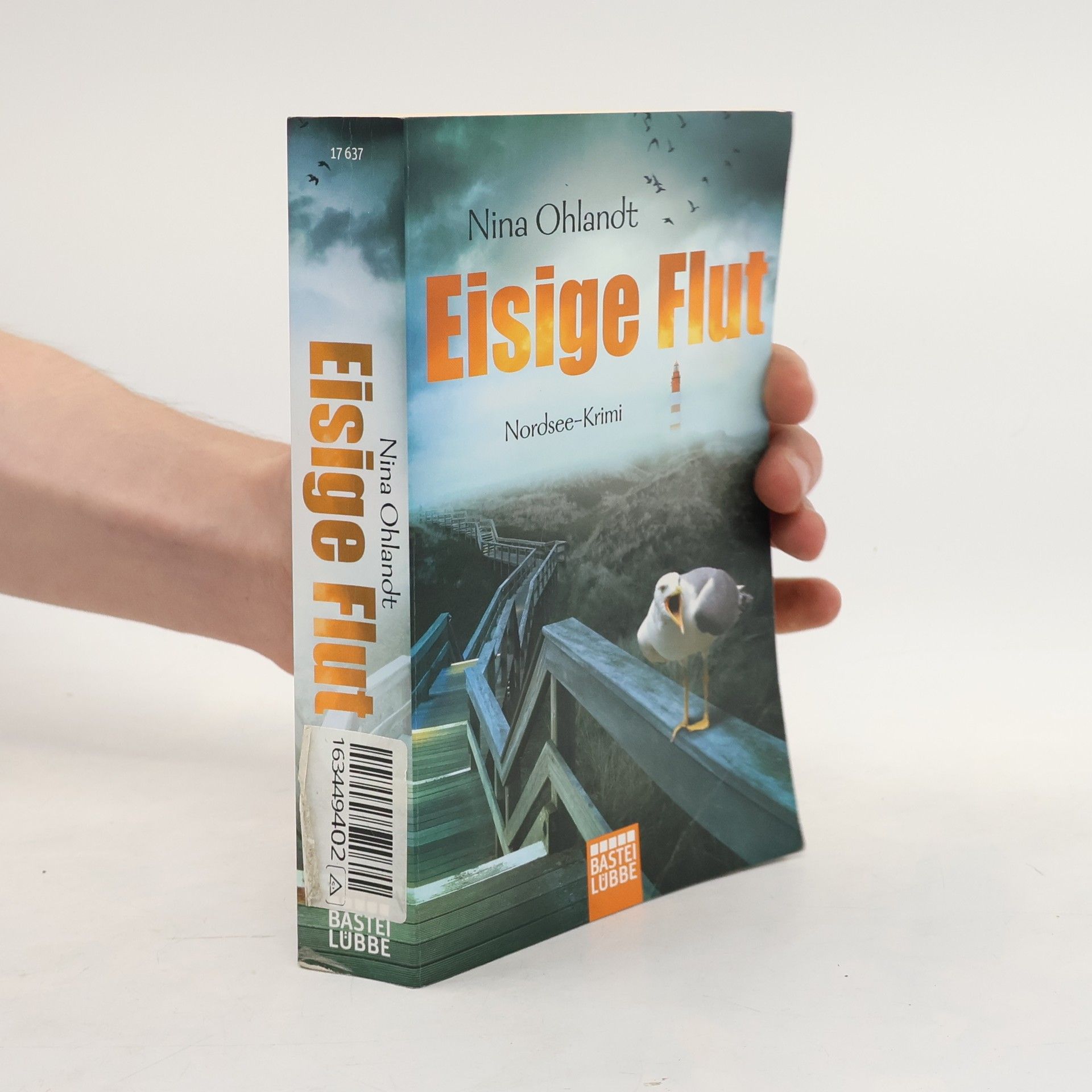 Nina Ohlandt Eisige Flut
