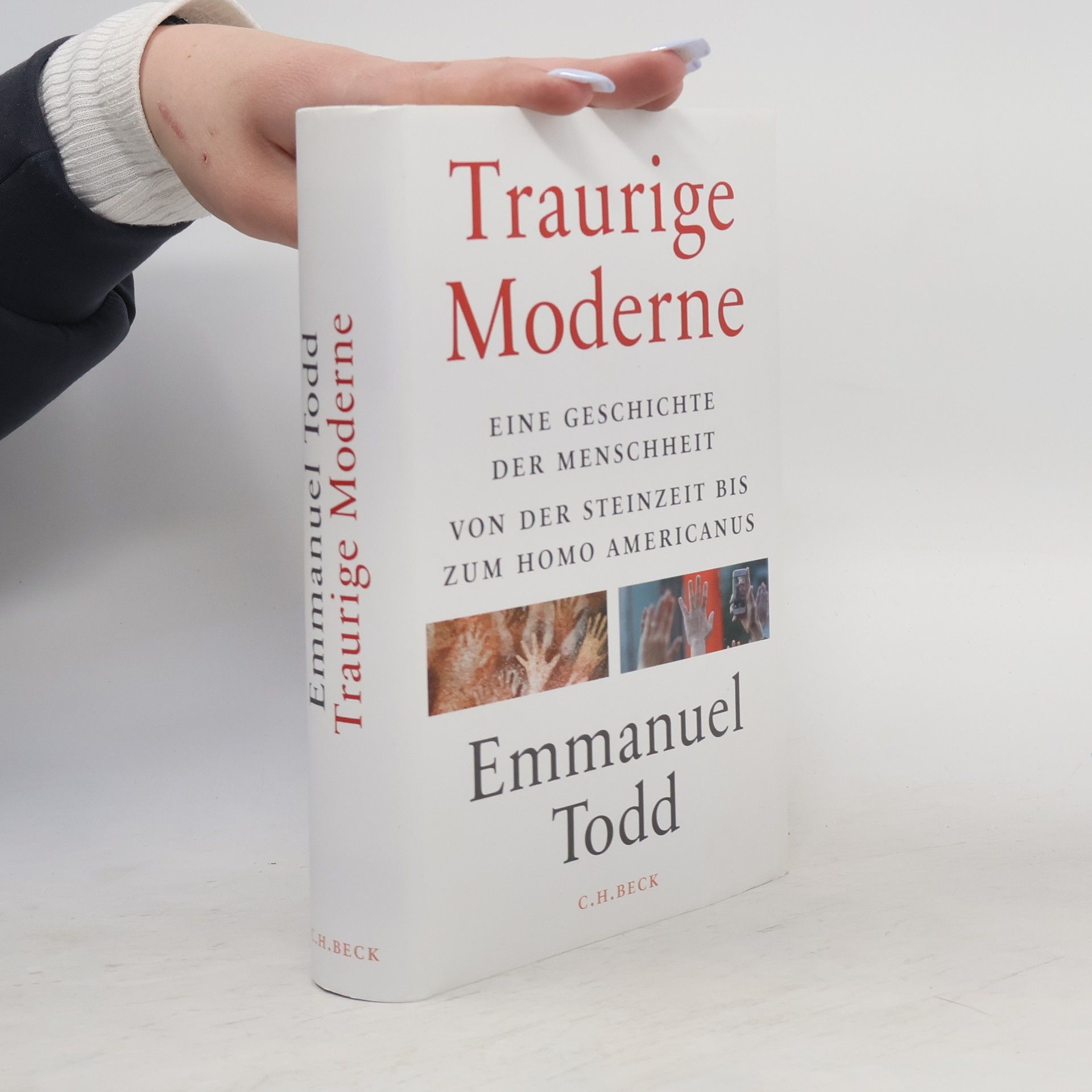 Emmanuel Todd Traurige Moderne