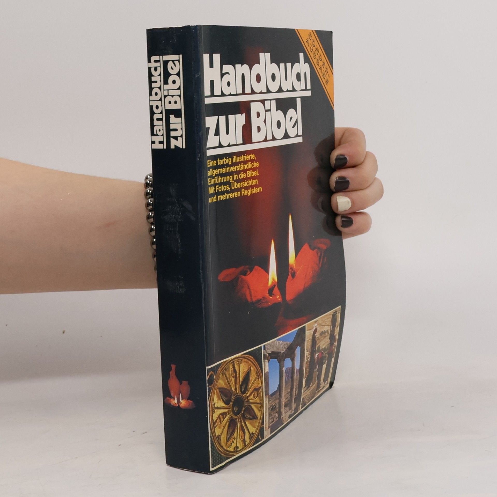 Pat Alexander Handbuch zur Bibel
