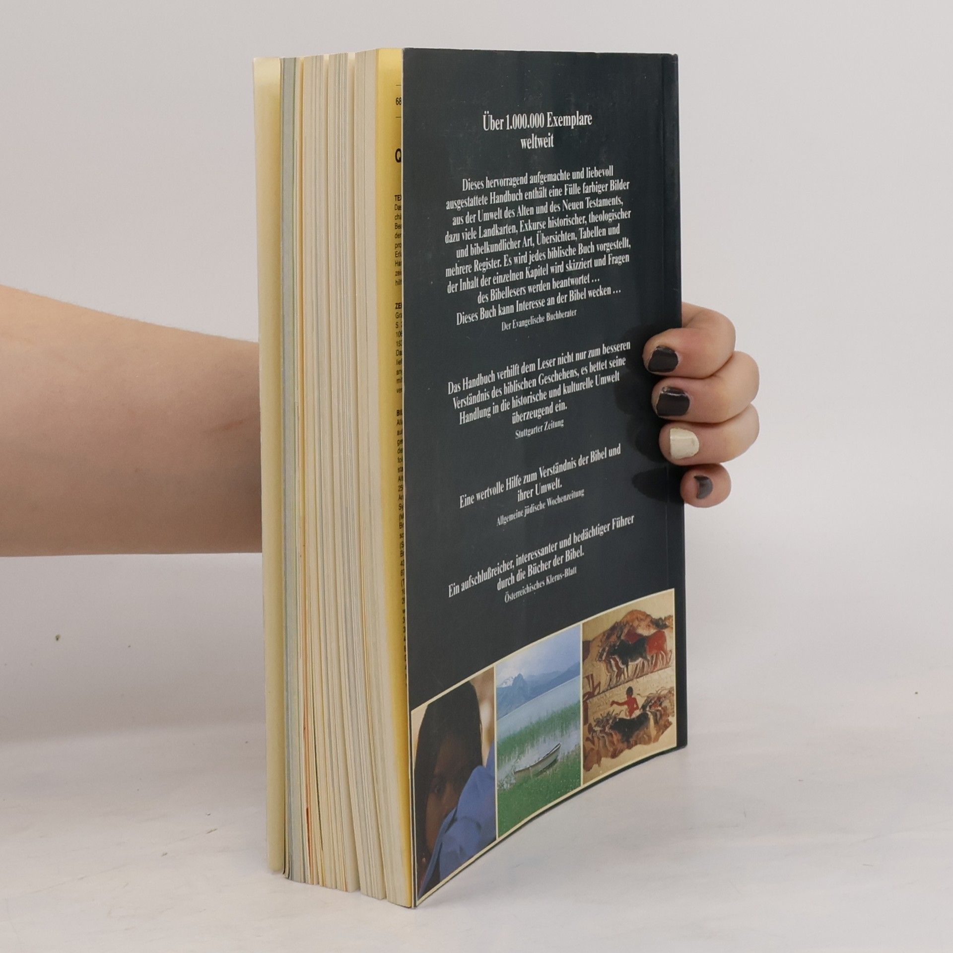 Pat Alexander Handbuch zur Bibel