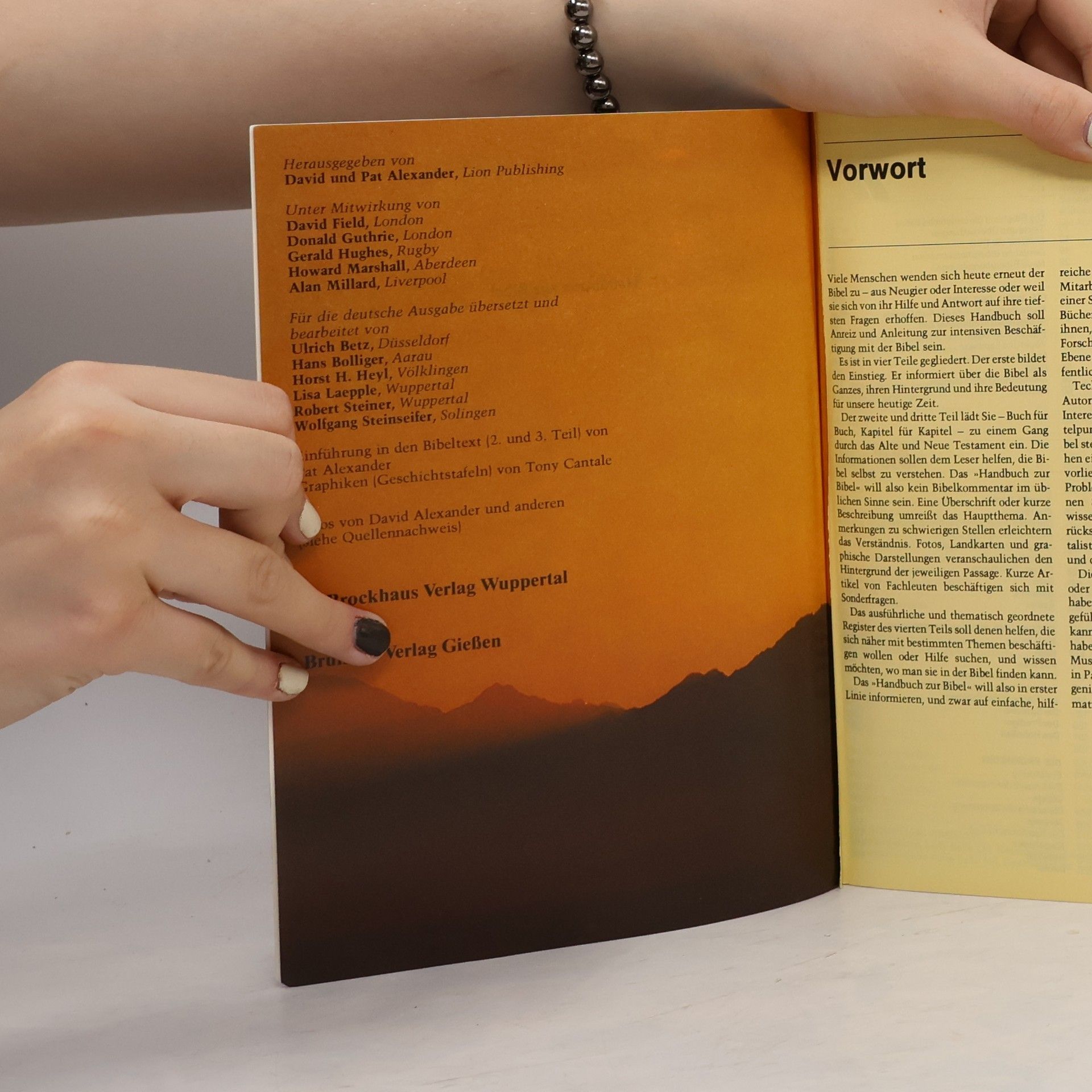 Pat Alexander Handbuch zur Bibel
