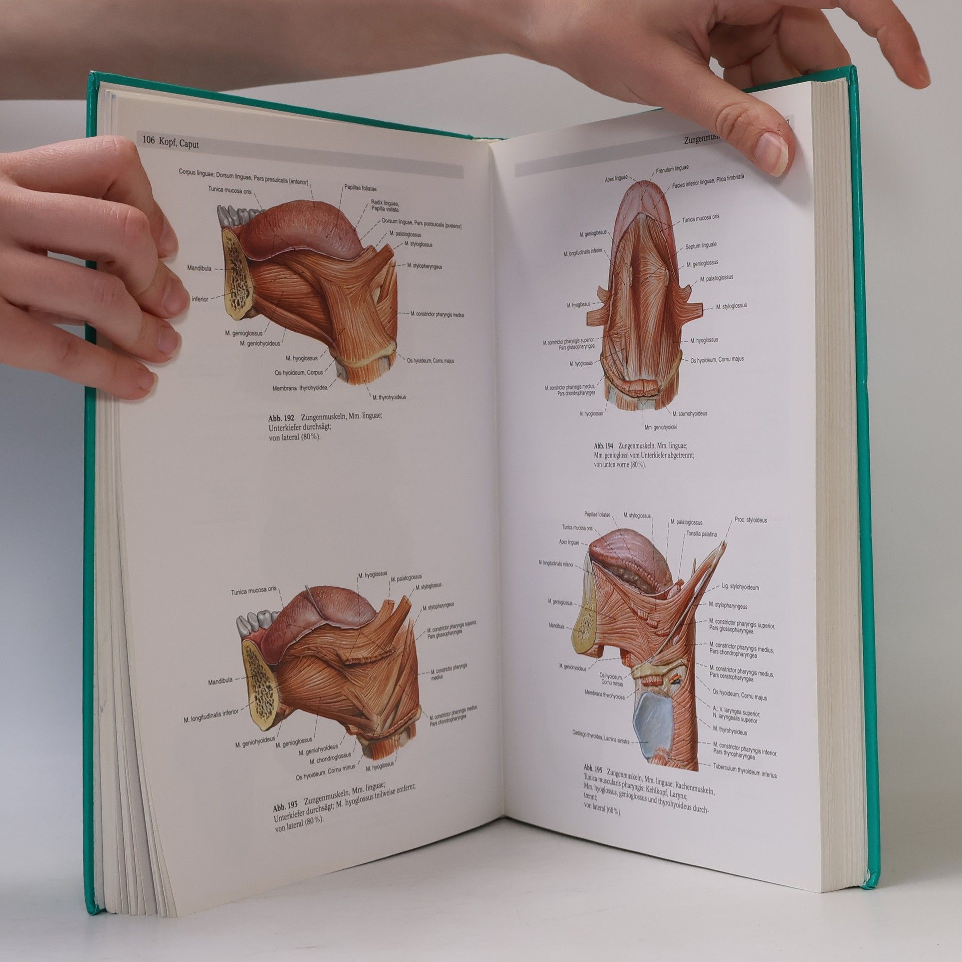Johannes Sobotta Sobotta. Atlas der Anatomie des Menschen. Band 1