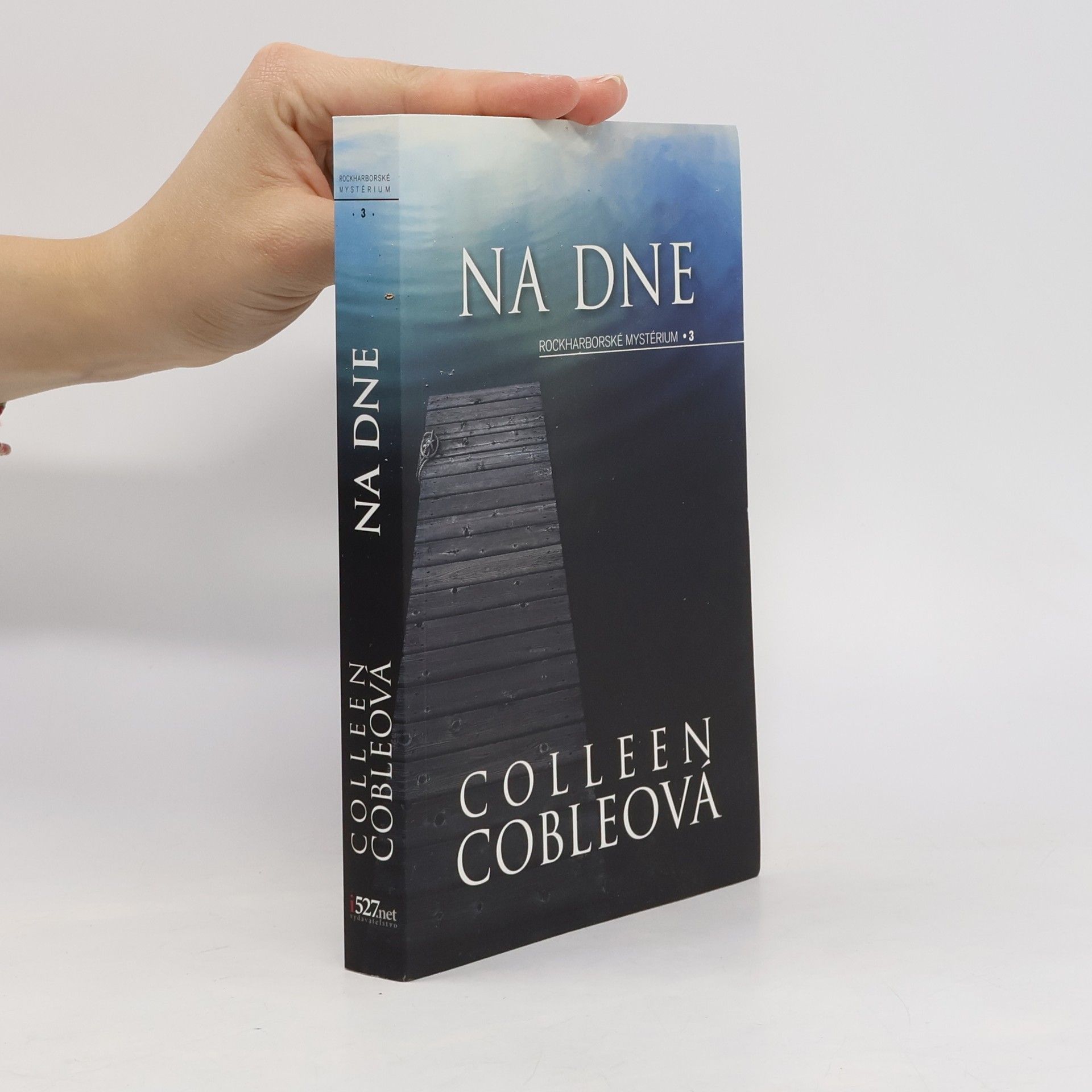 Colleen Coble Na dne