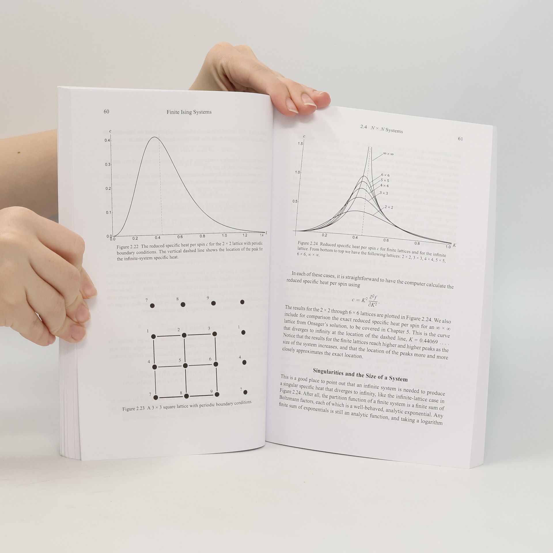James S. Walker Student's Guides: A Student's Guide to the Ising Model