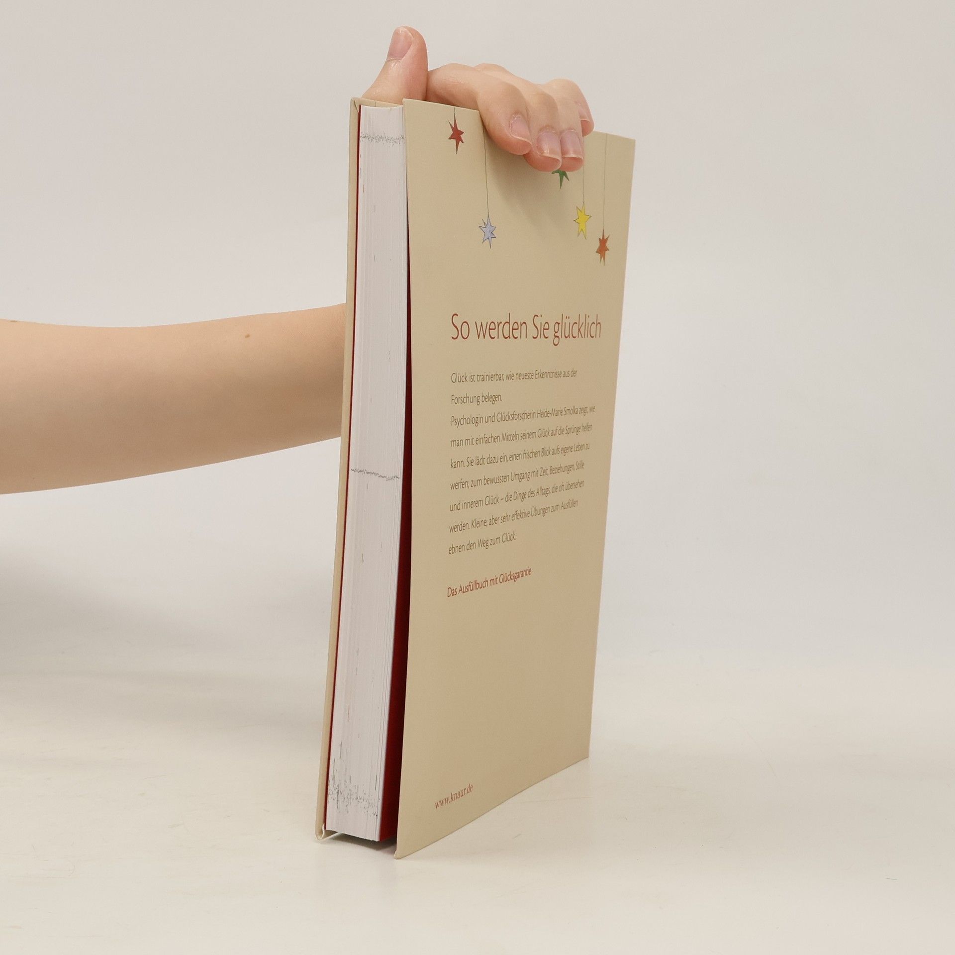 Heide-Marie Smolka Mein Glücks-Trainings-Buch
