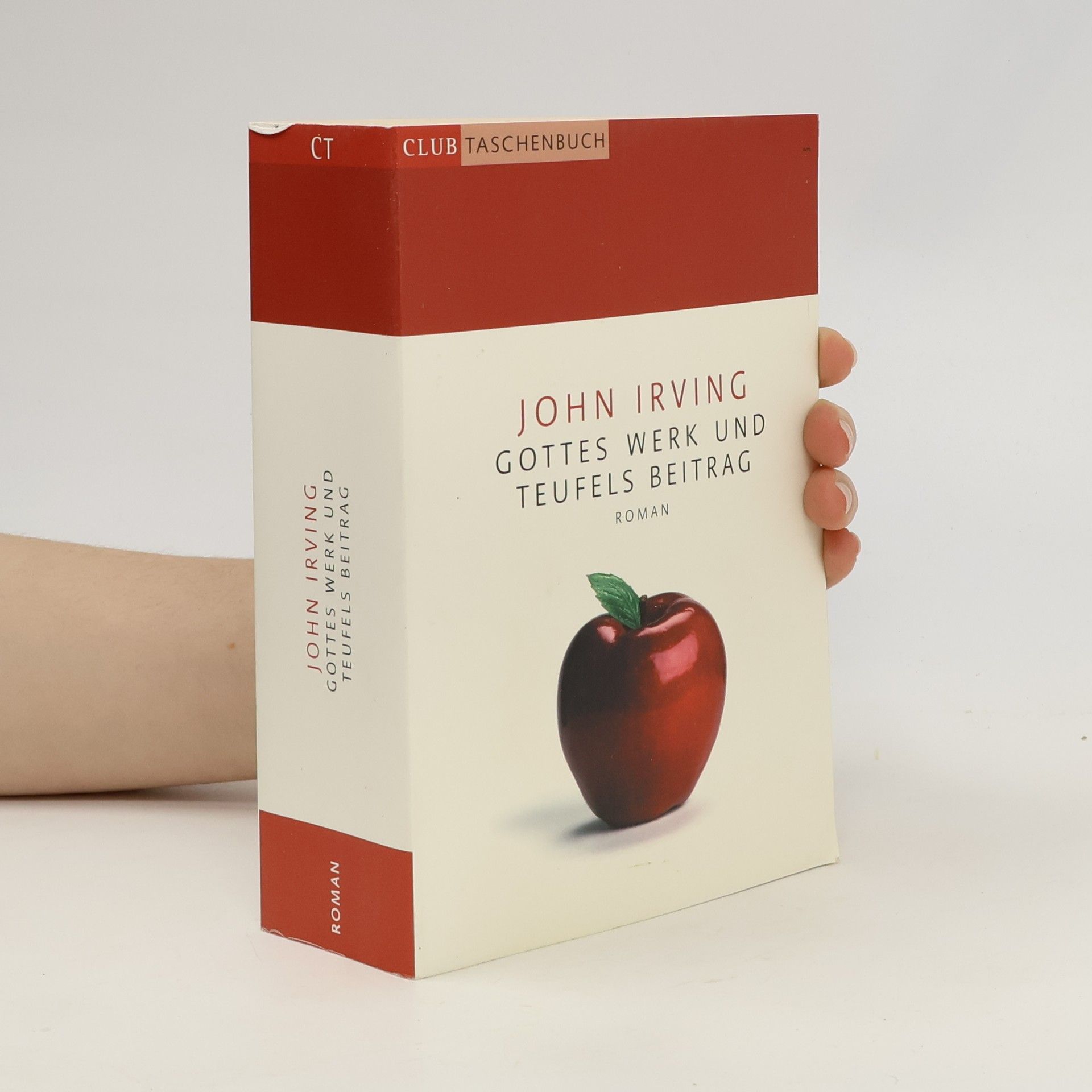 John Irving Gottes Werk und Teufels Beitrag