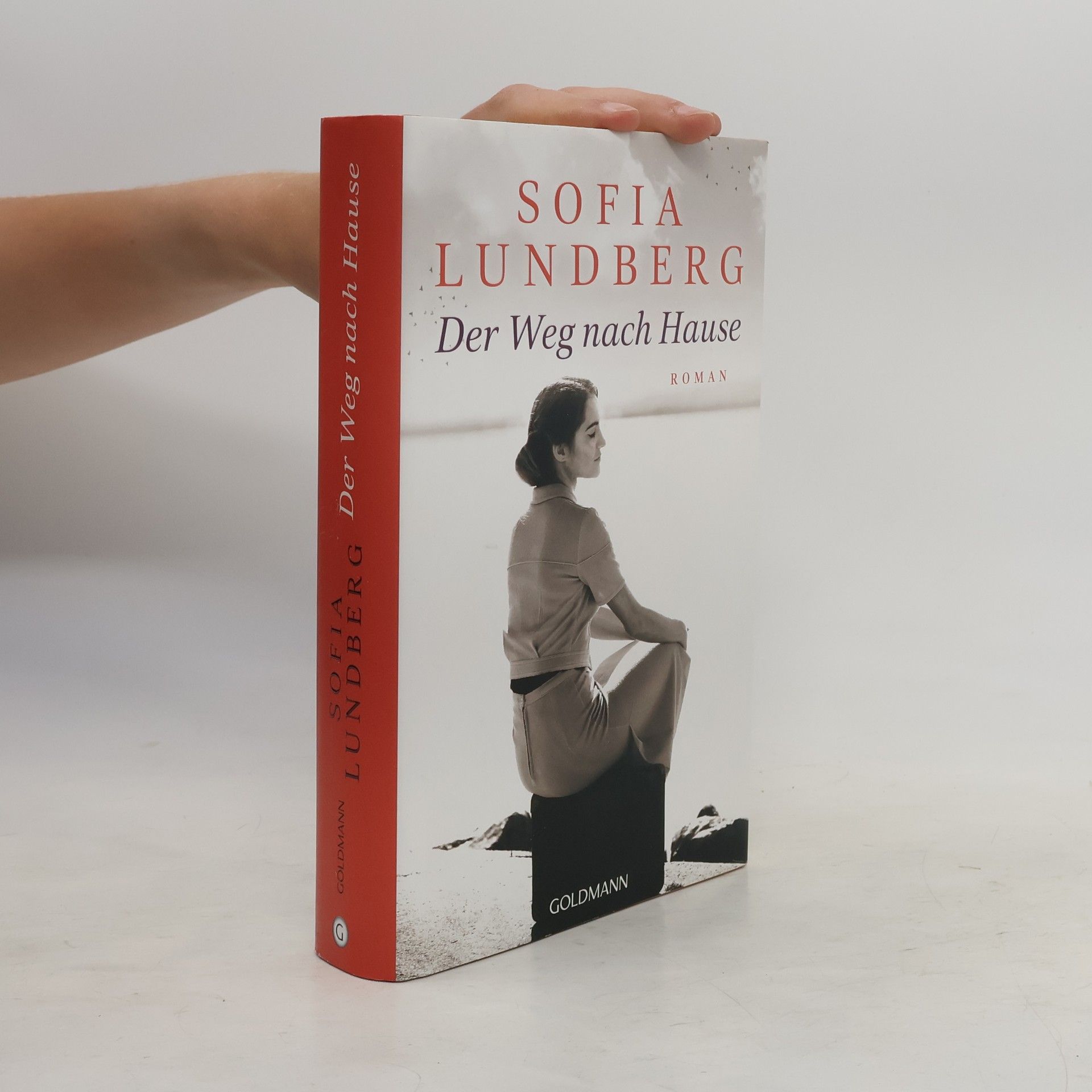 Sofia Lundberg Der Weg nach Hause
