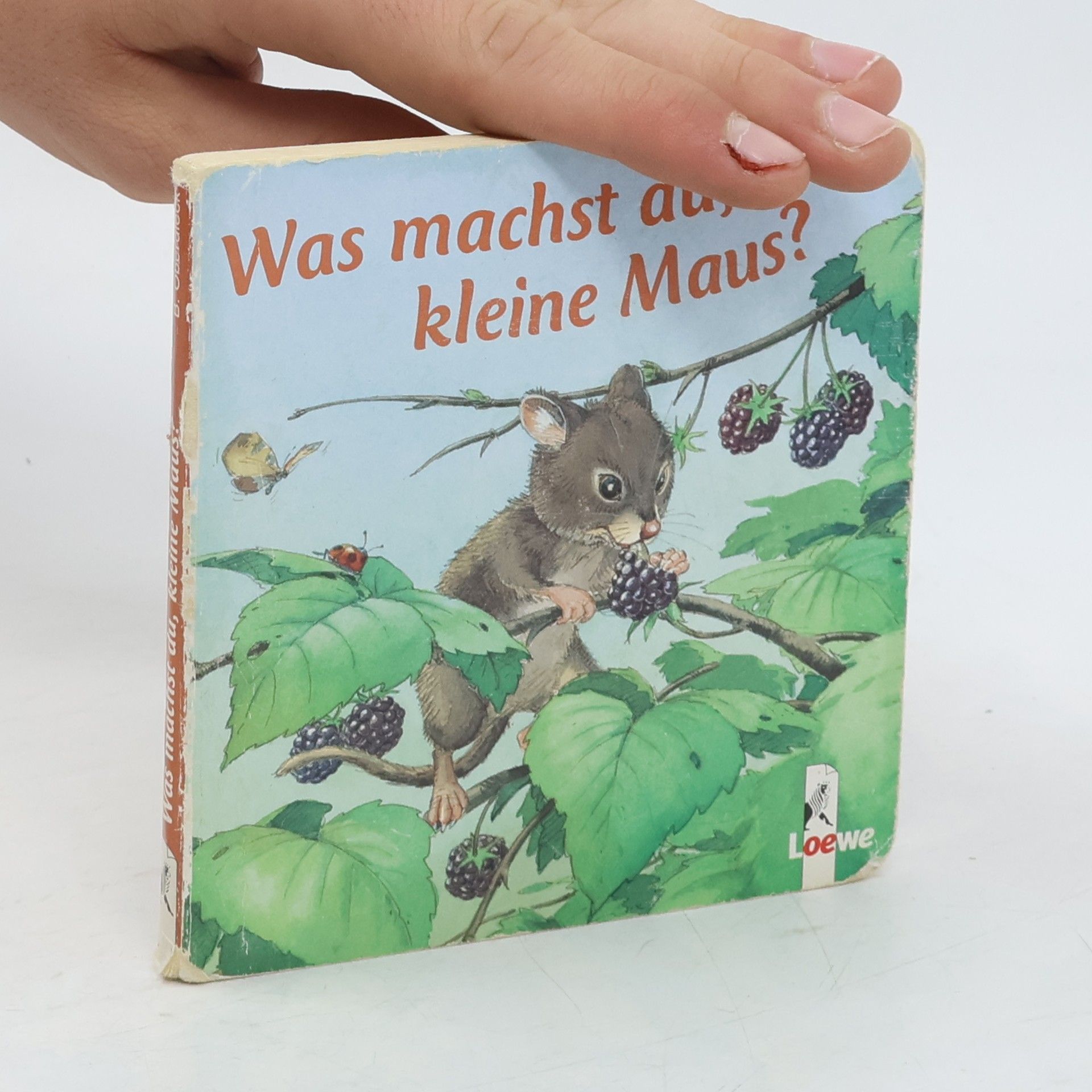 Kolektiv autorů Was machst du, kleine Maus?