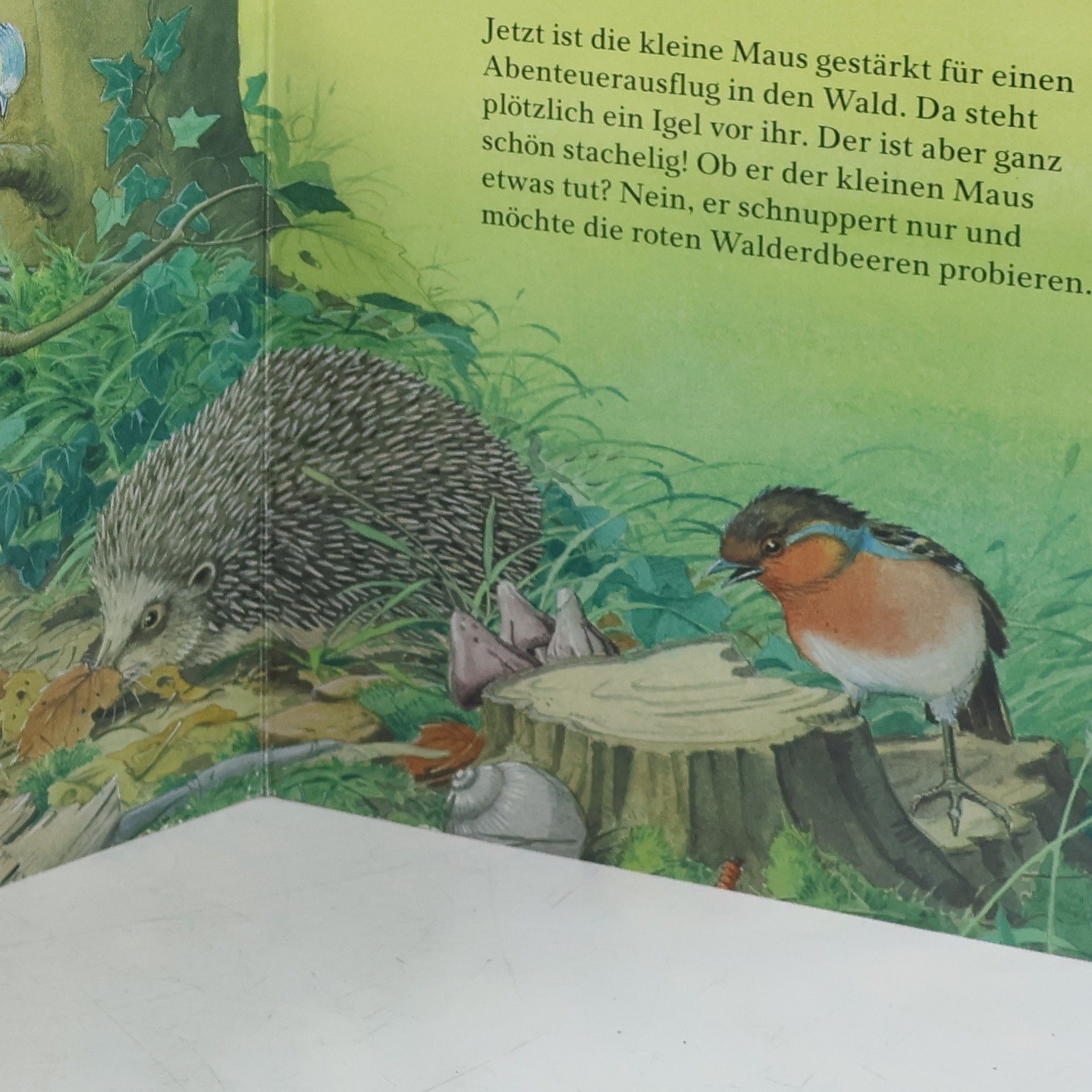 Was machst du, kleine Maus?
