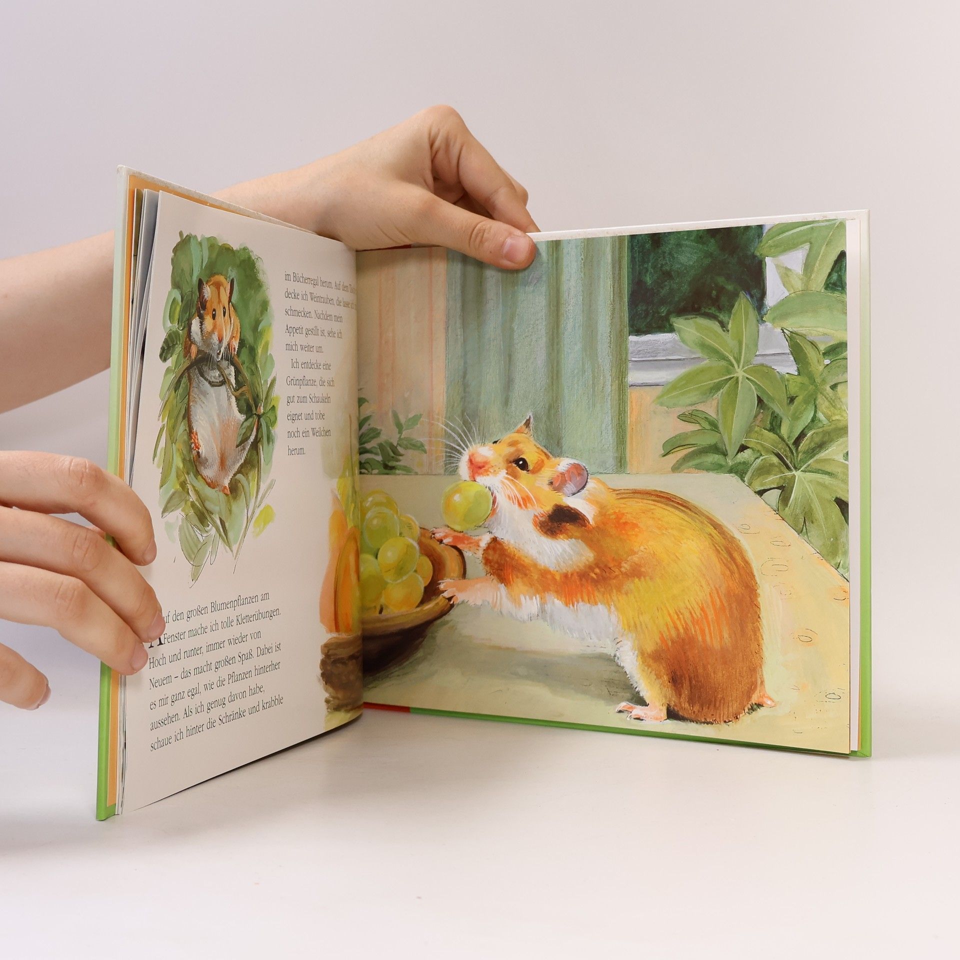 Ria Gersmeier Ich bin Fritz, der Goldhamster