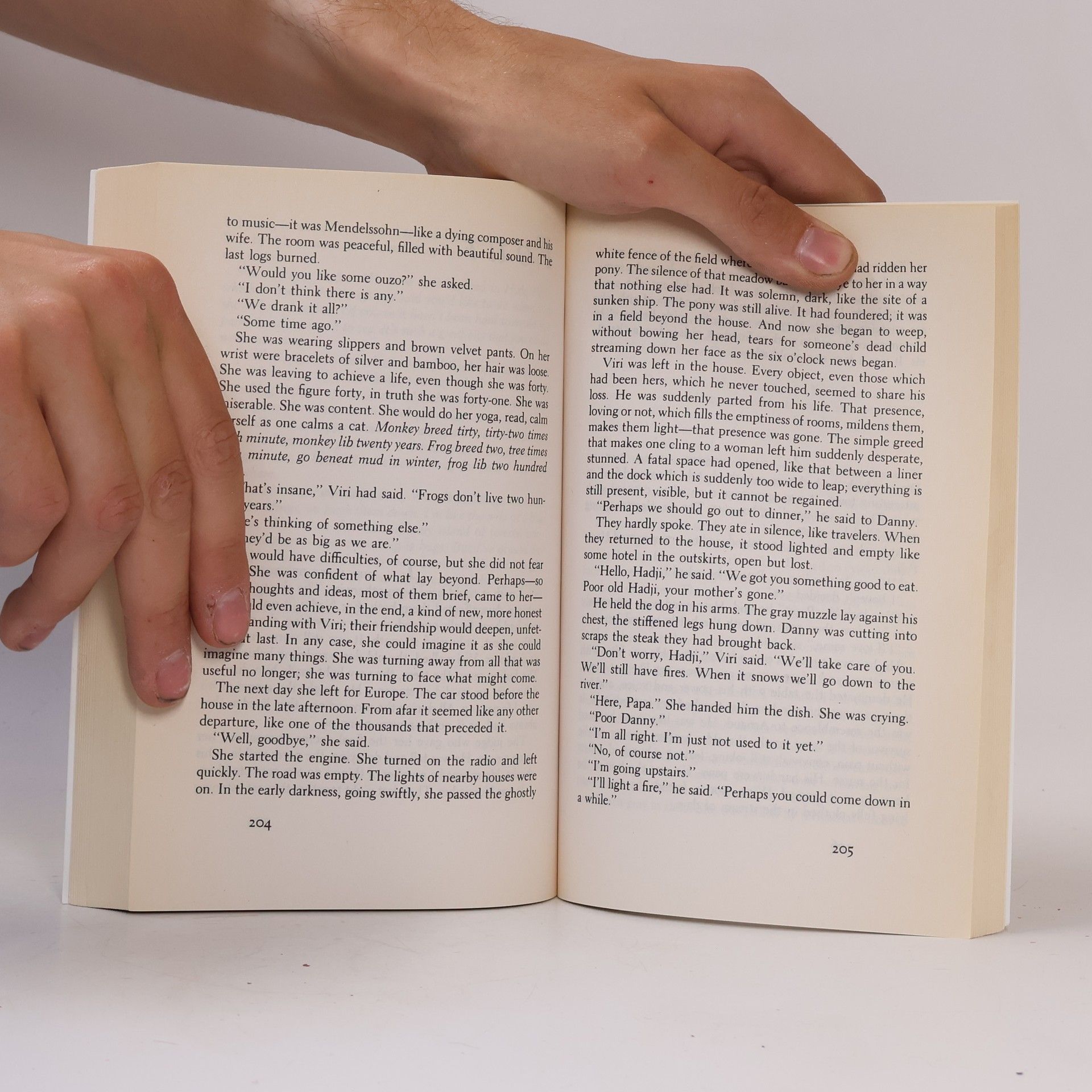James Salter Light Years