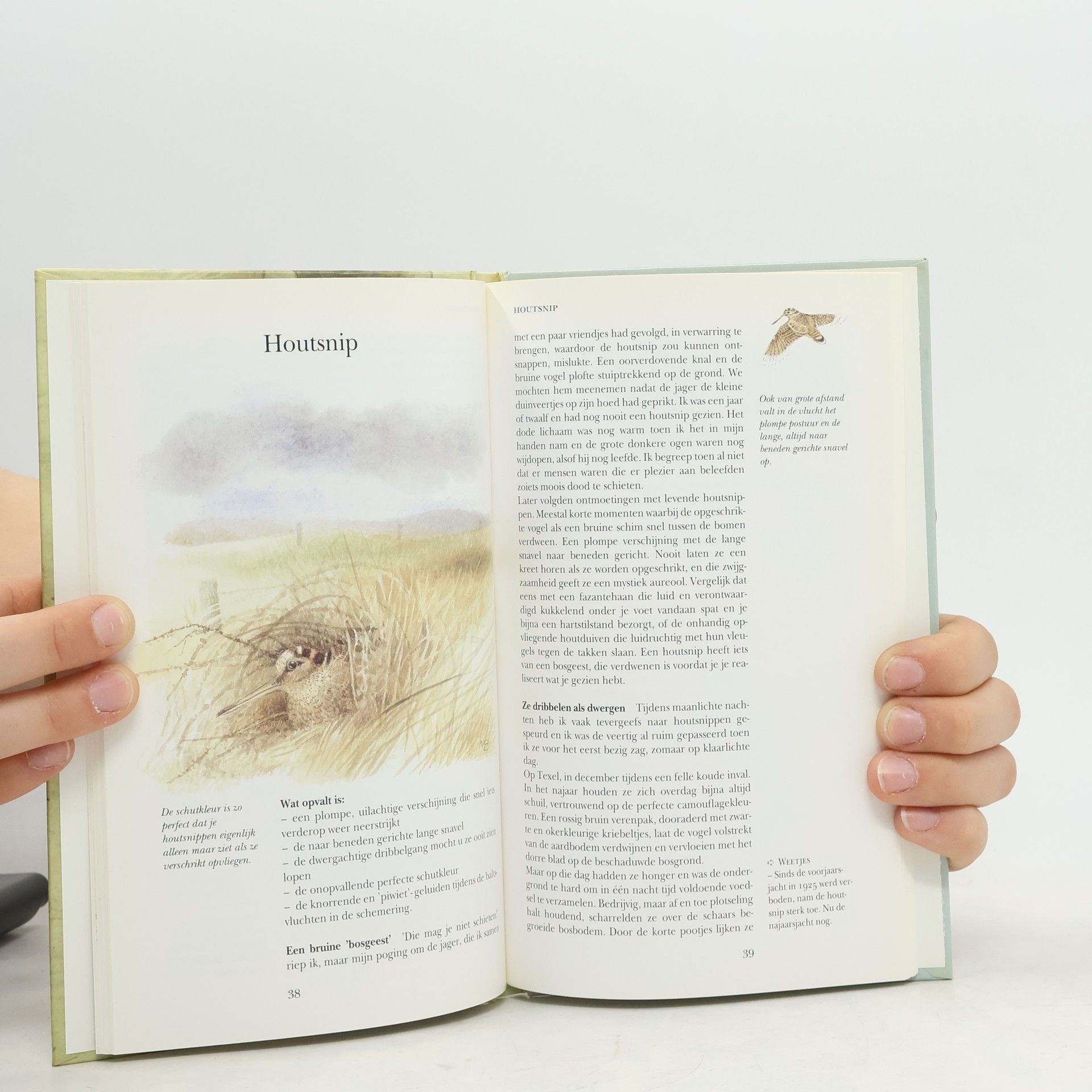 Marjolein Bastin Sesam Natuur: Kijk op vogels