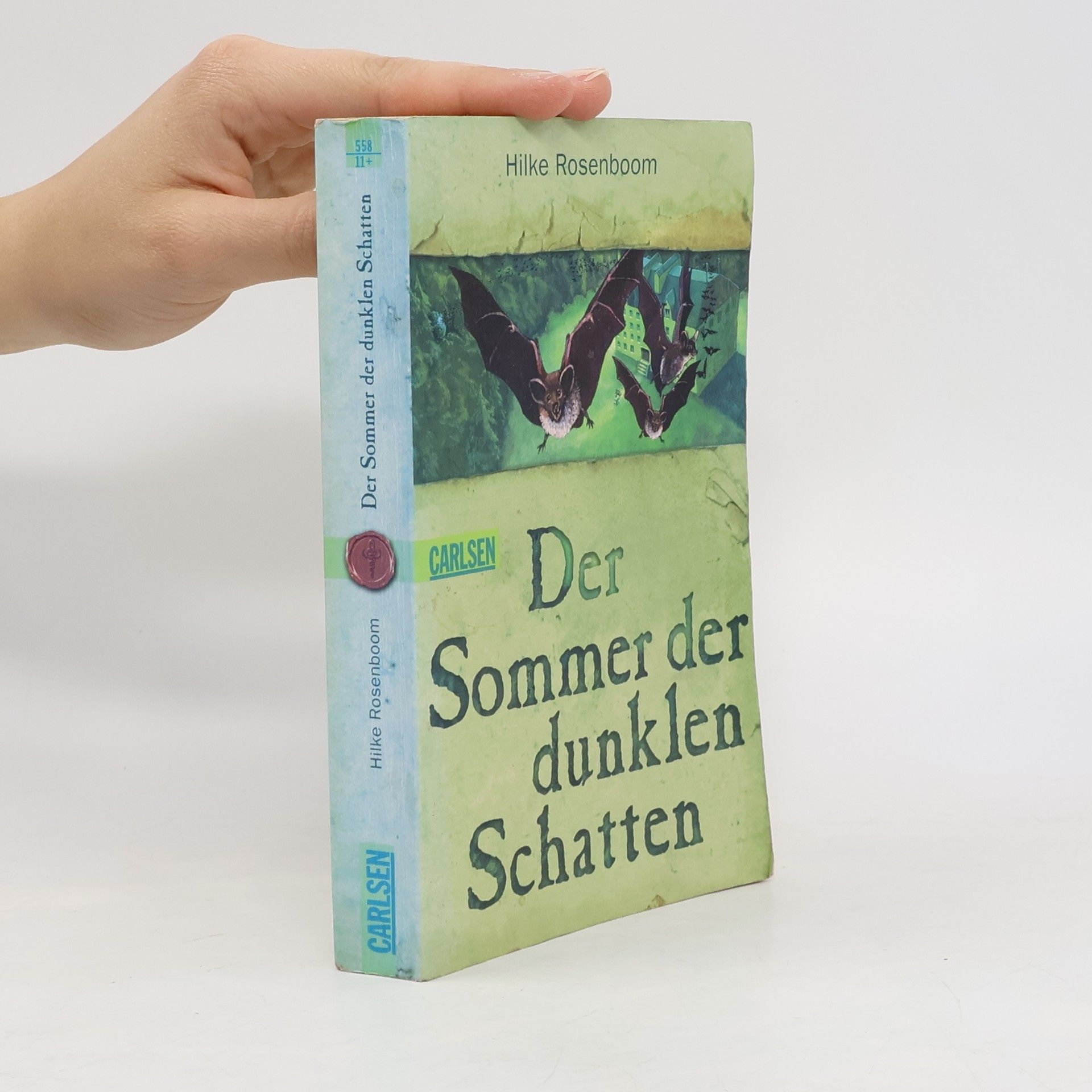 Hilke Rosenboom Der Sommer der dunklen Schatten