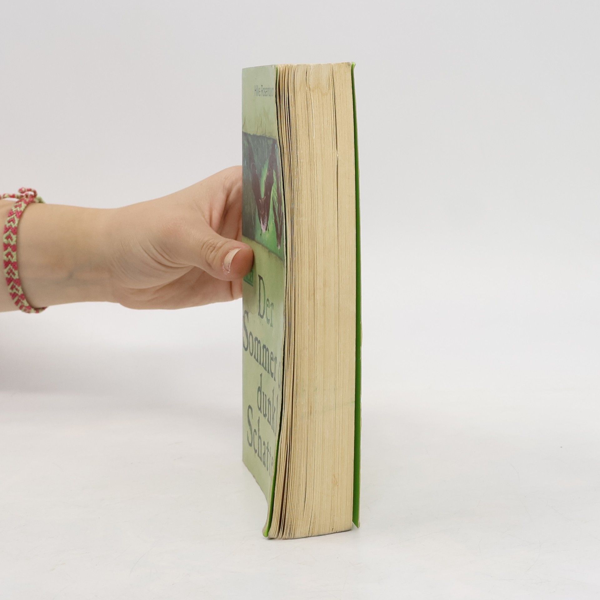 Hilke Rosenboom Der Sommer der dunklen Schatten