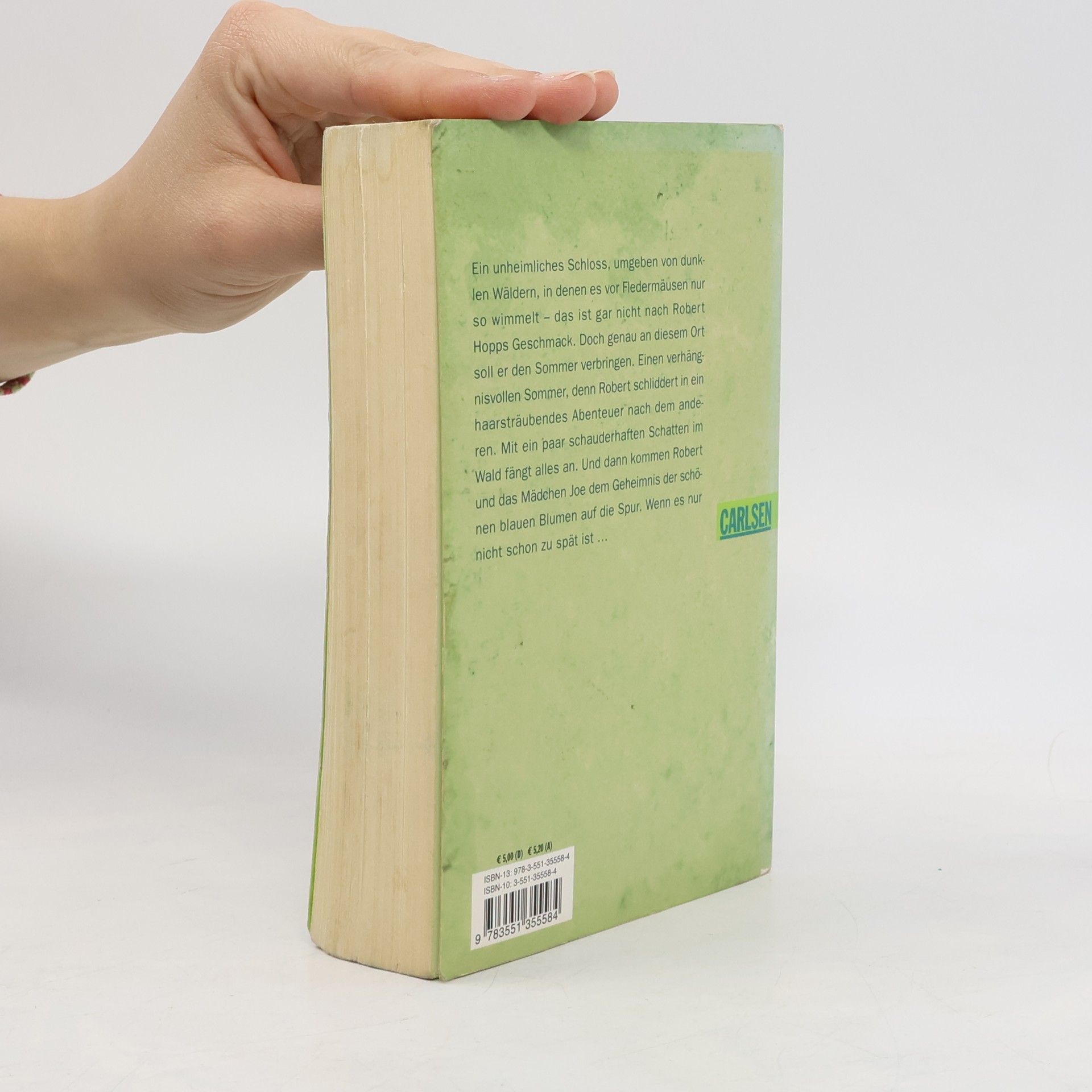 Hilke Rosenboom Der Sommer der dunklen Schatten
