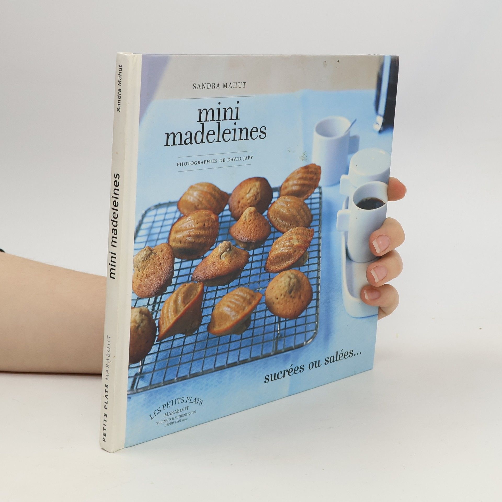 Mini madeleines