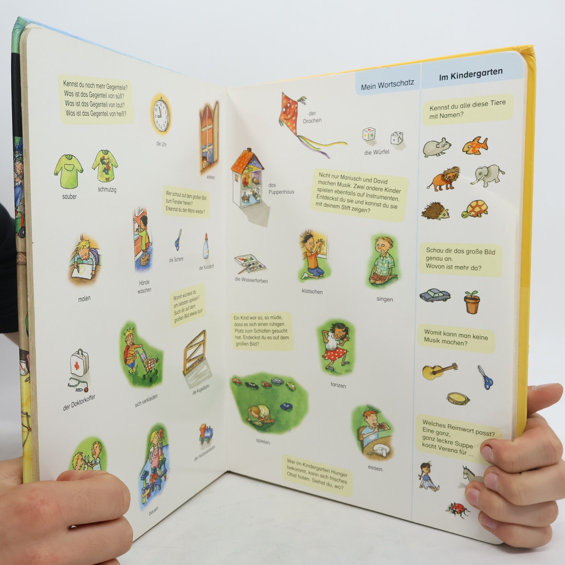 Stefanie Scharnberg Duden Wimmelwörterbücher: Duden - Das Wimmel-Wörterbuch (Ting-Ausgabe)