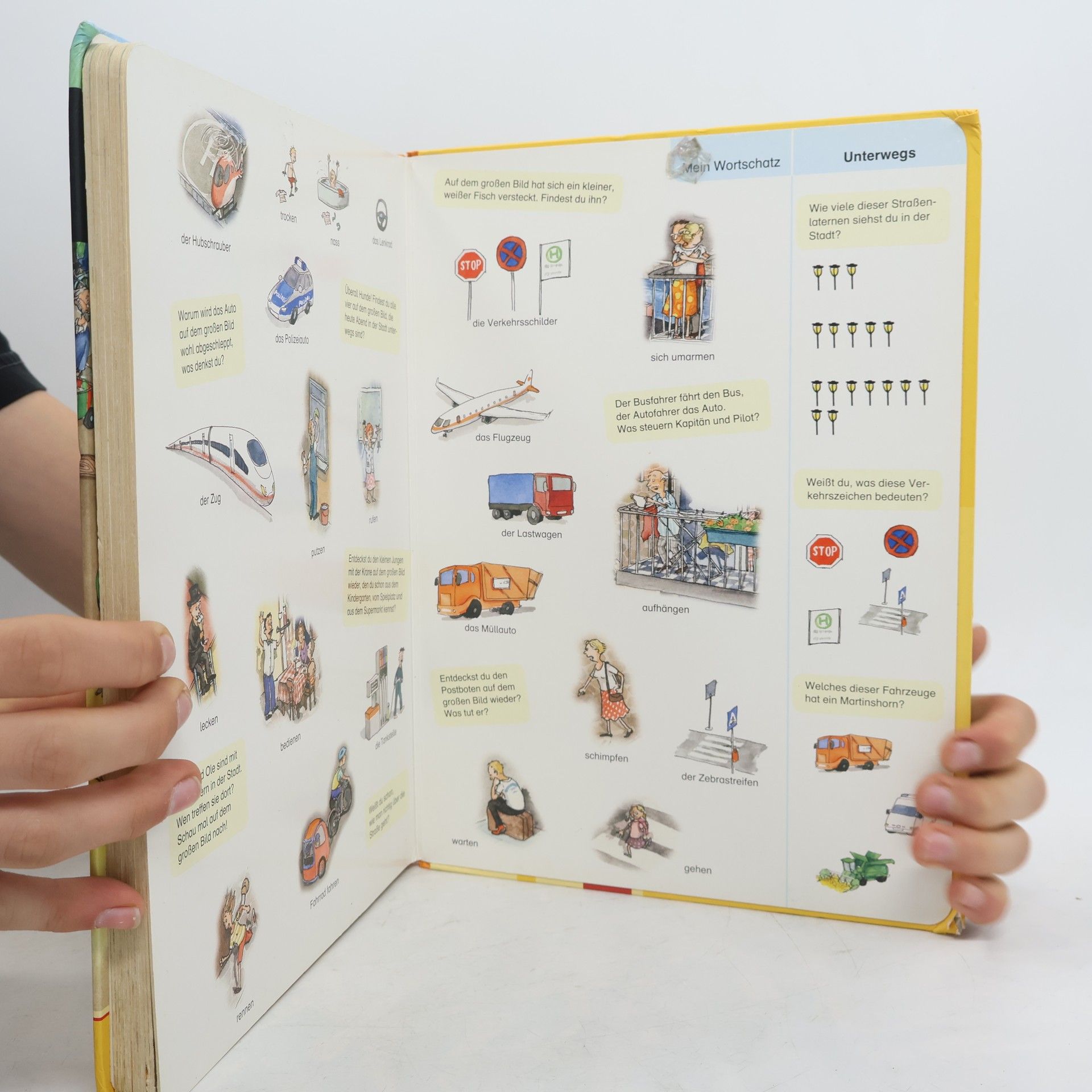 Stefanie Scharnberg Duden Wimmelwörterbücher: Duden - Das Wimmel-Wörterbuch (Ting-Ausgabe)